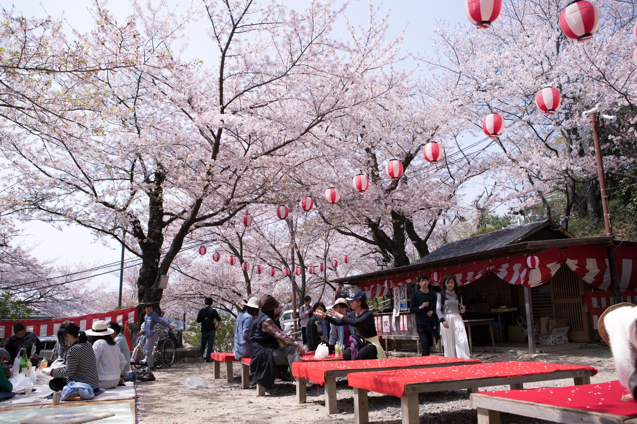 和歌山市自助遊攻略