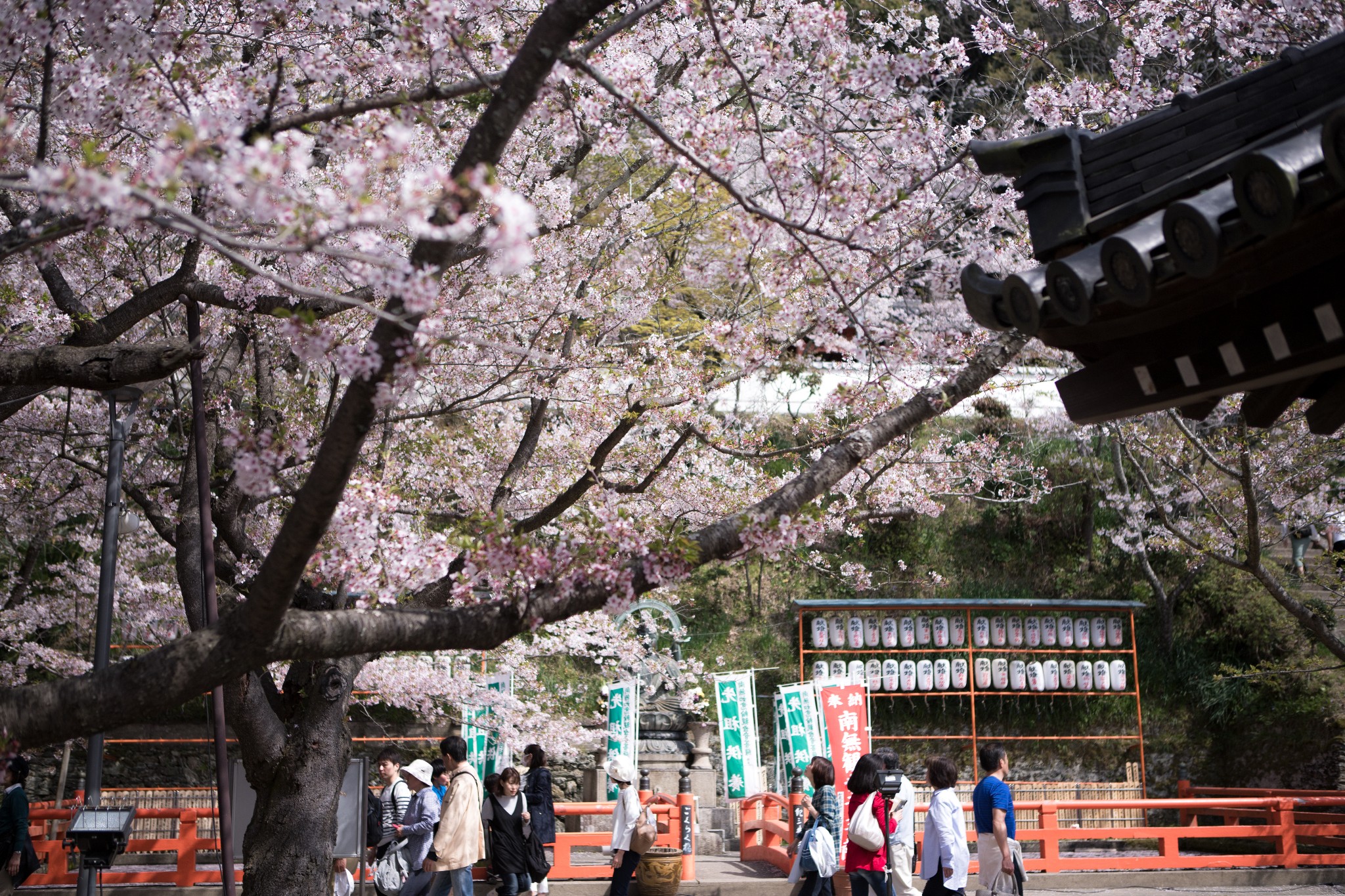 和歌山市自助遊攻略