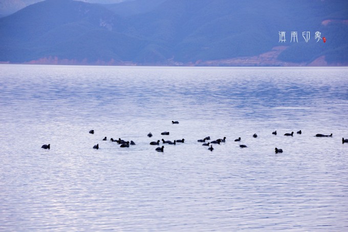 瀘沽湖自助遊攻略