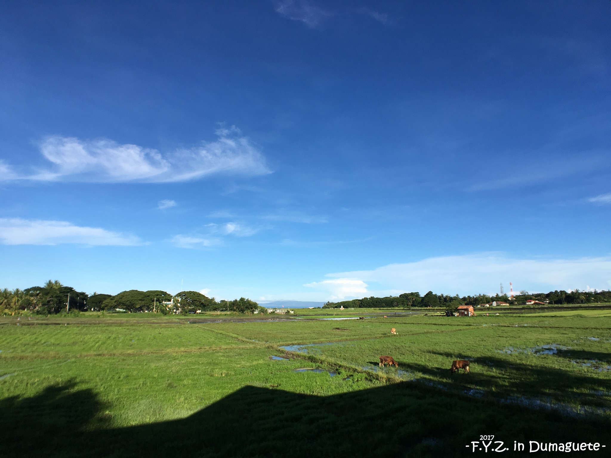 杜馬蓋地自助遊攻略