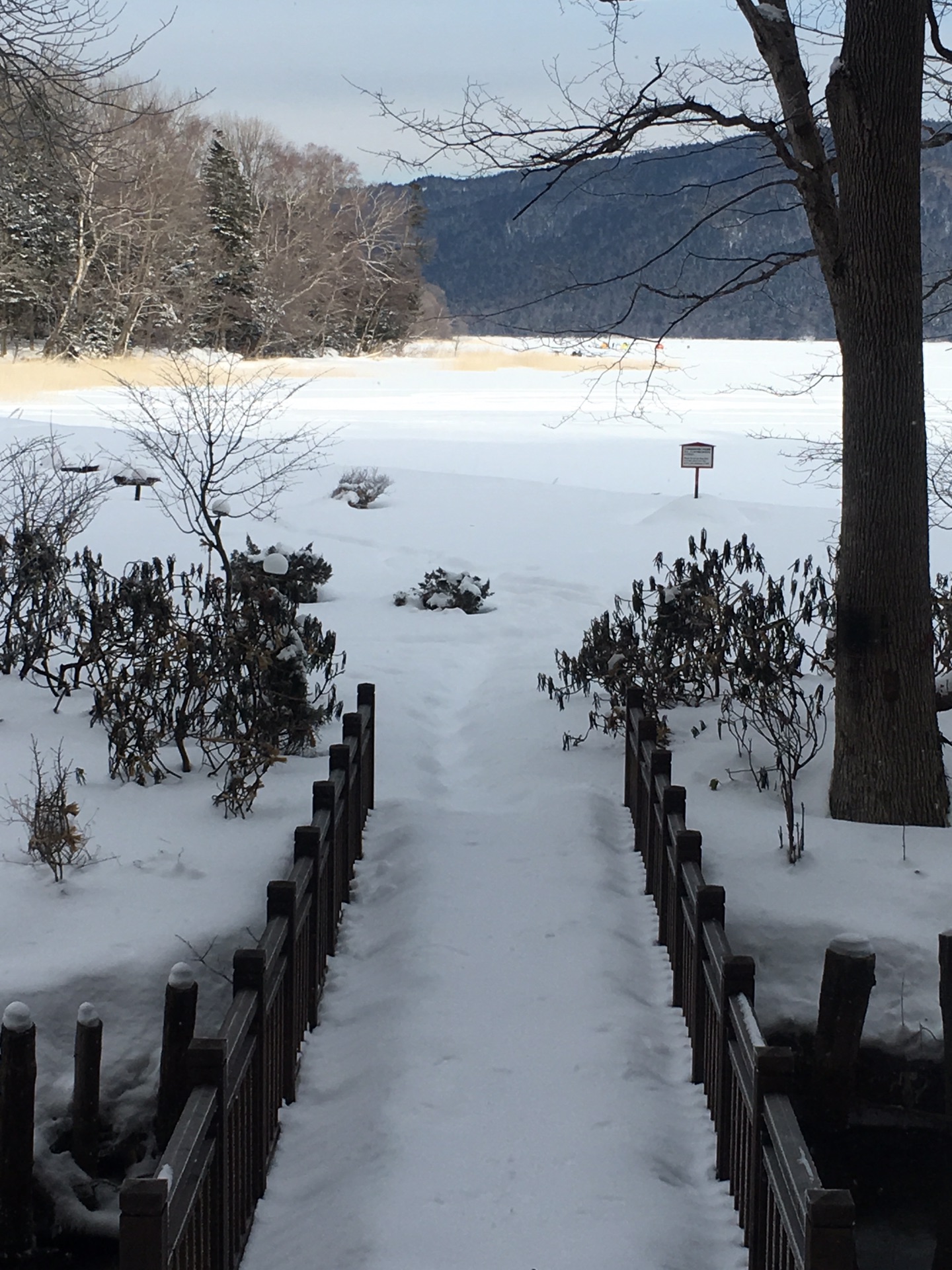 北海道自助遊攻略