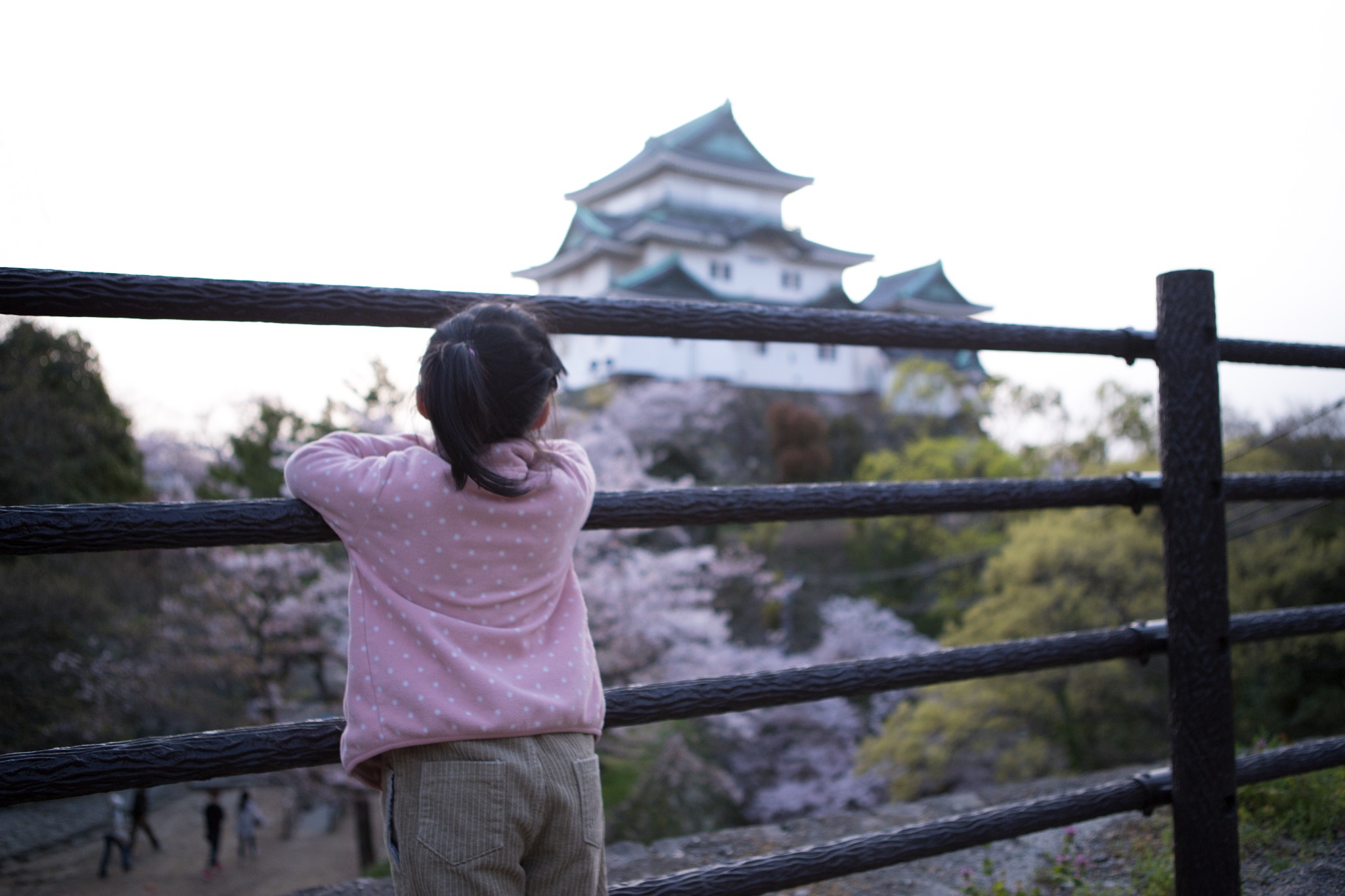 和歌山市自助遊攻略