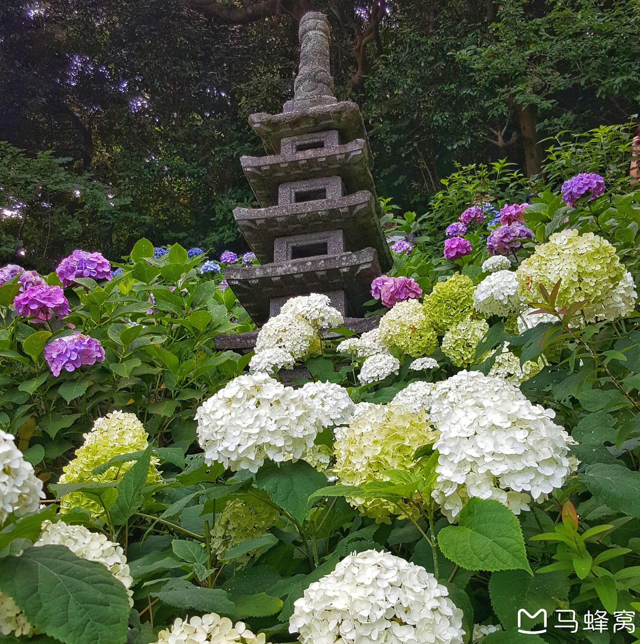 富士山自助遊攻略