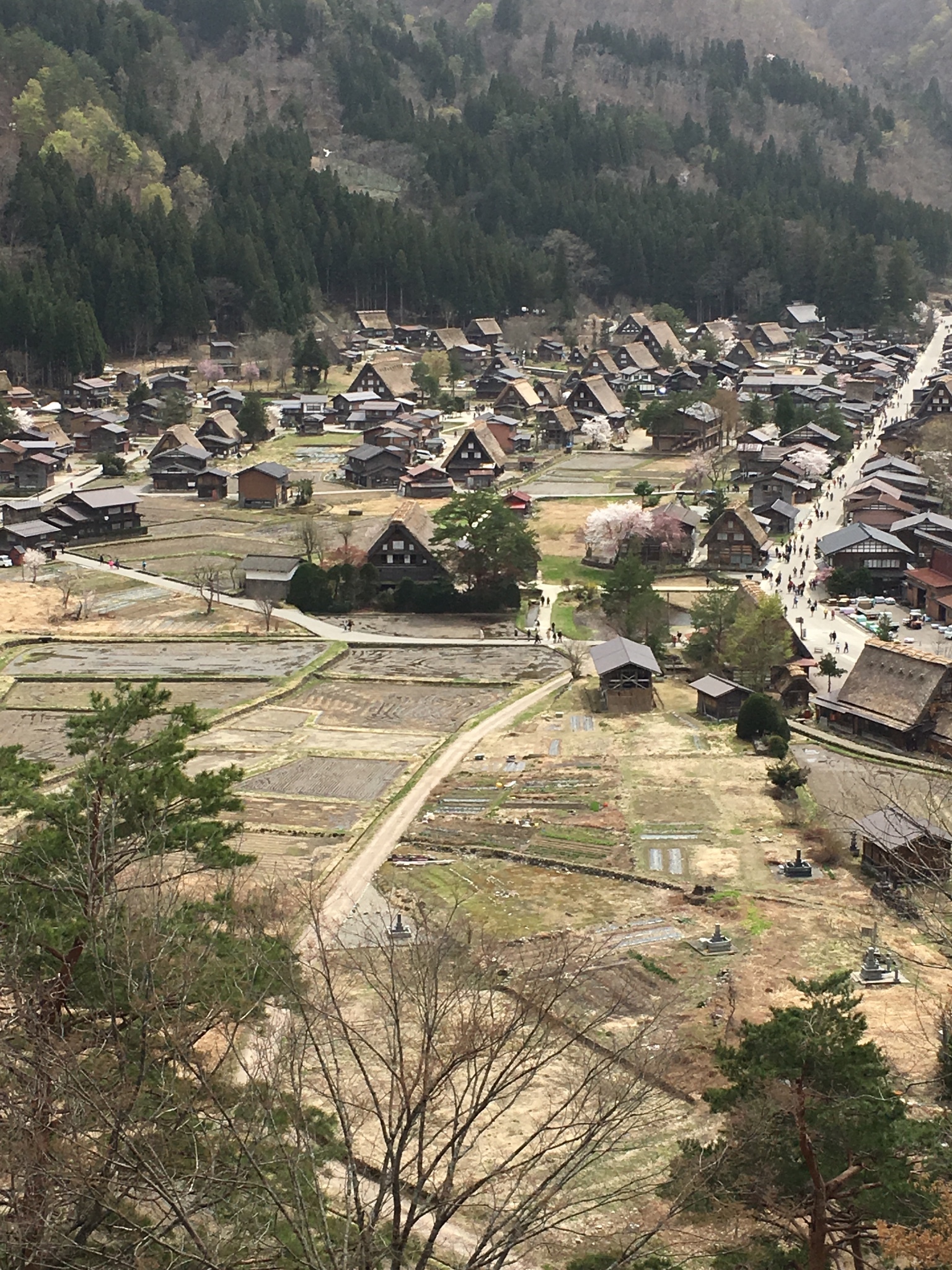 名古屋自助遊攻略