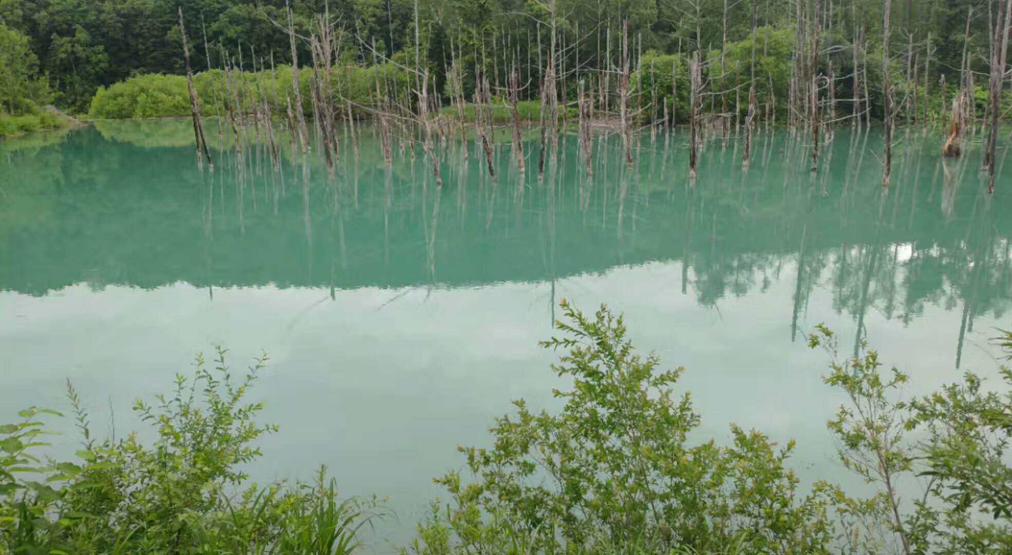 北海道自助遊攻略