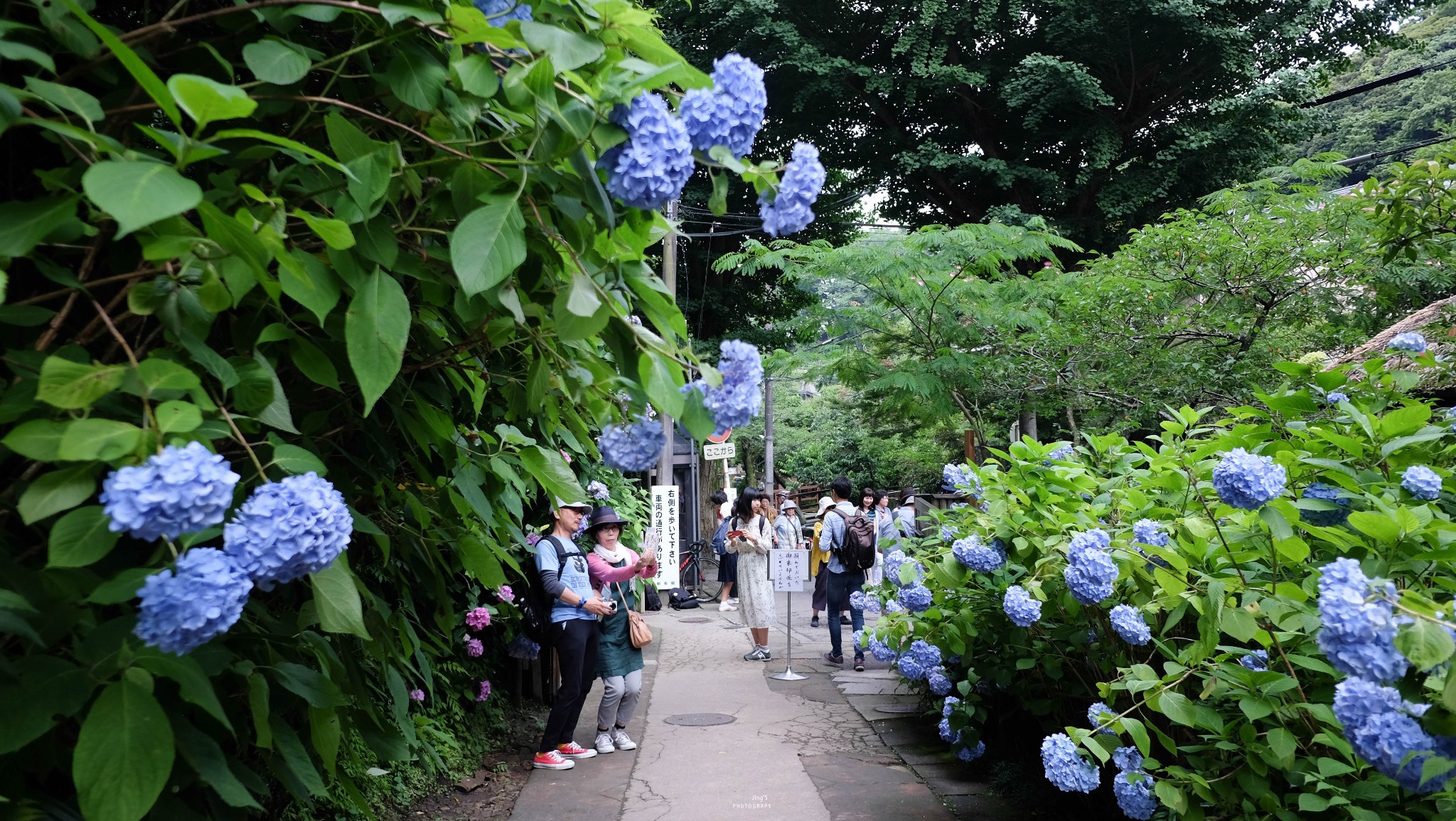 鐮倉自助遊攻略