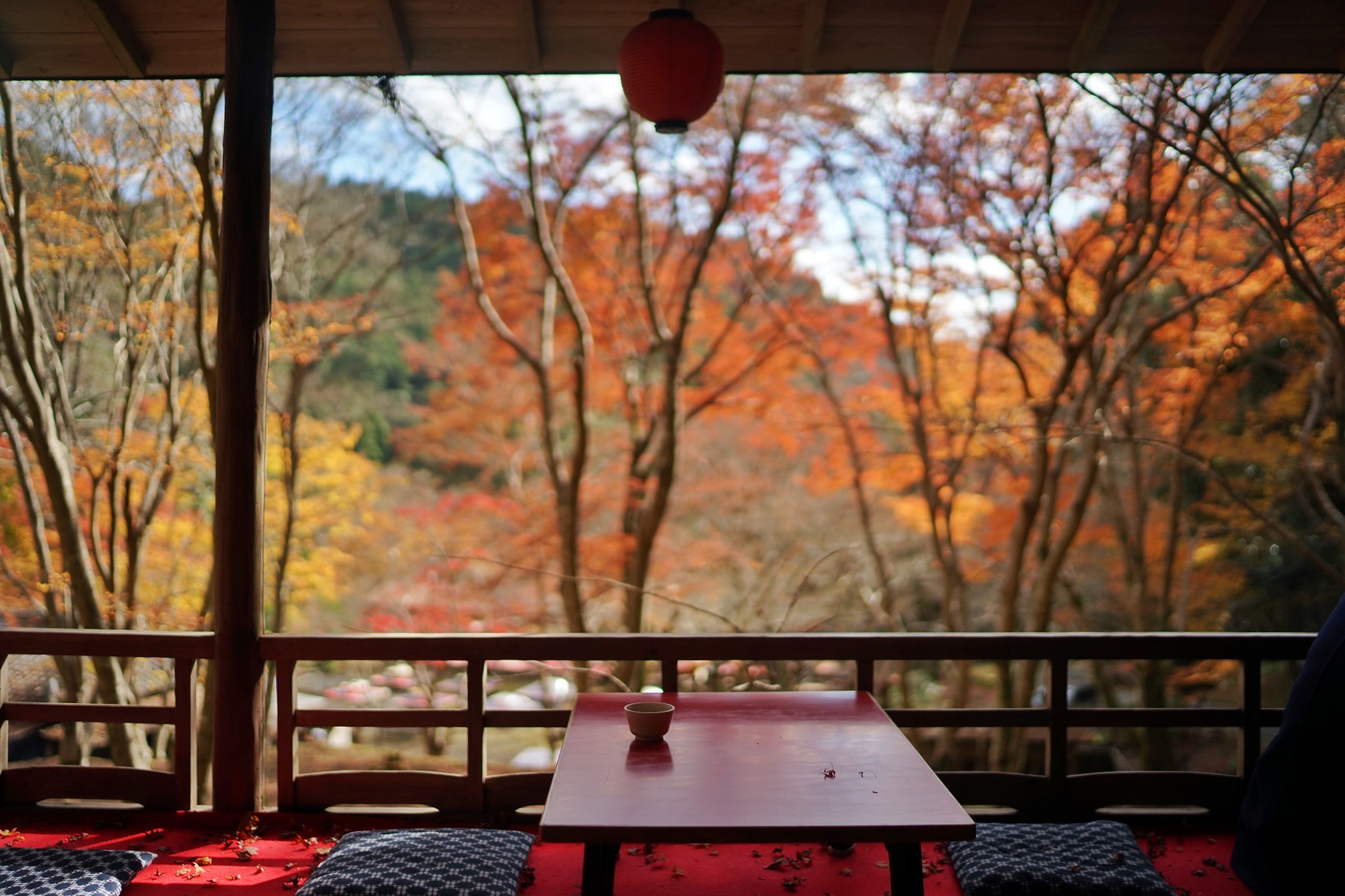 京都自助遊攻略