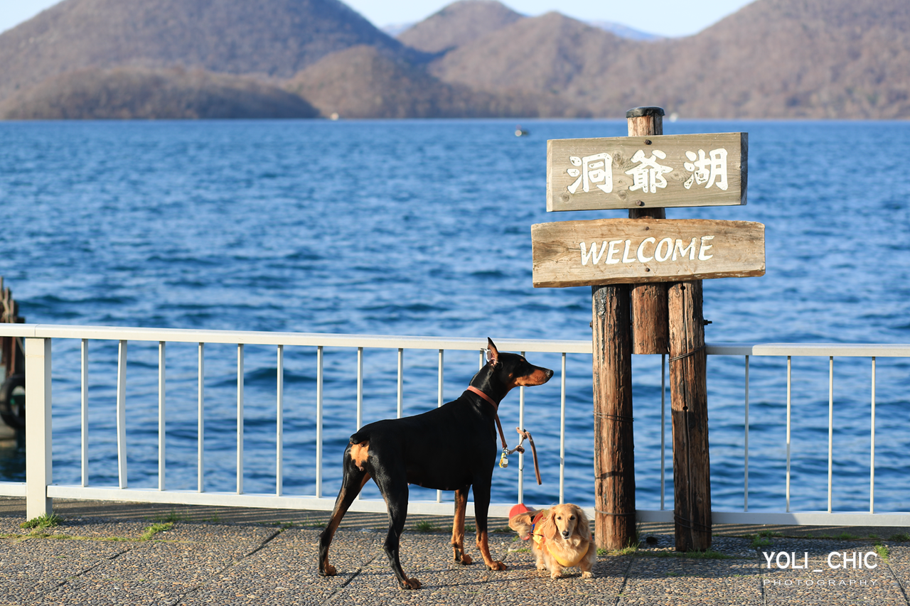 北海道自助遊攻略