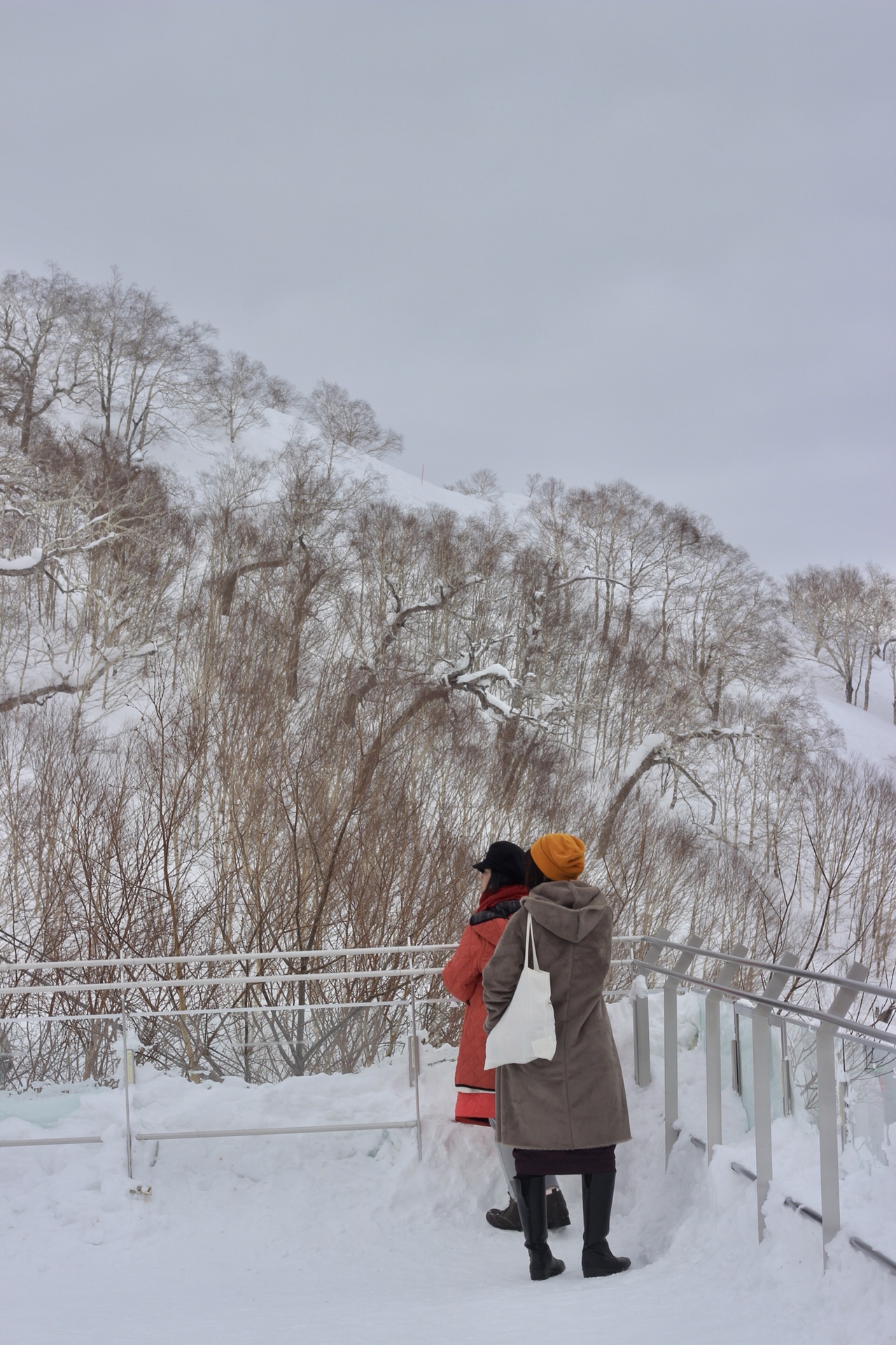 札幌自助遊攻略