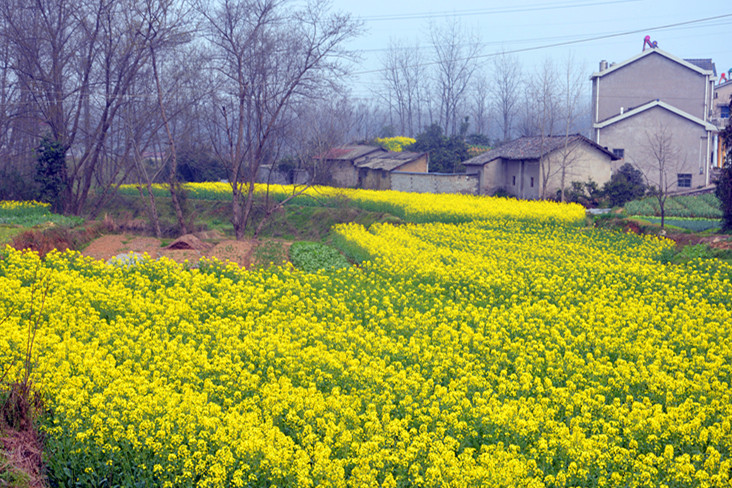 洋溪 全心畈--宜都游记--马蜂窝