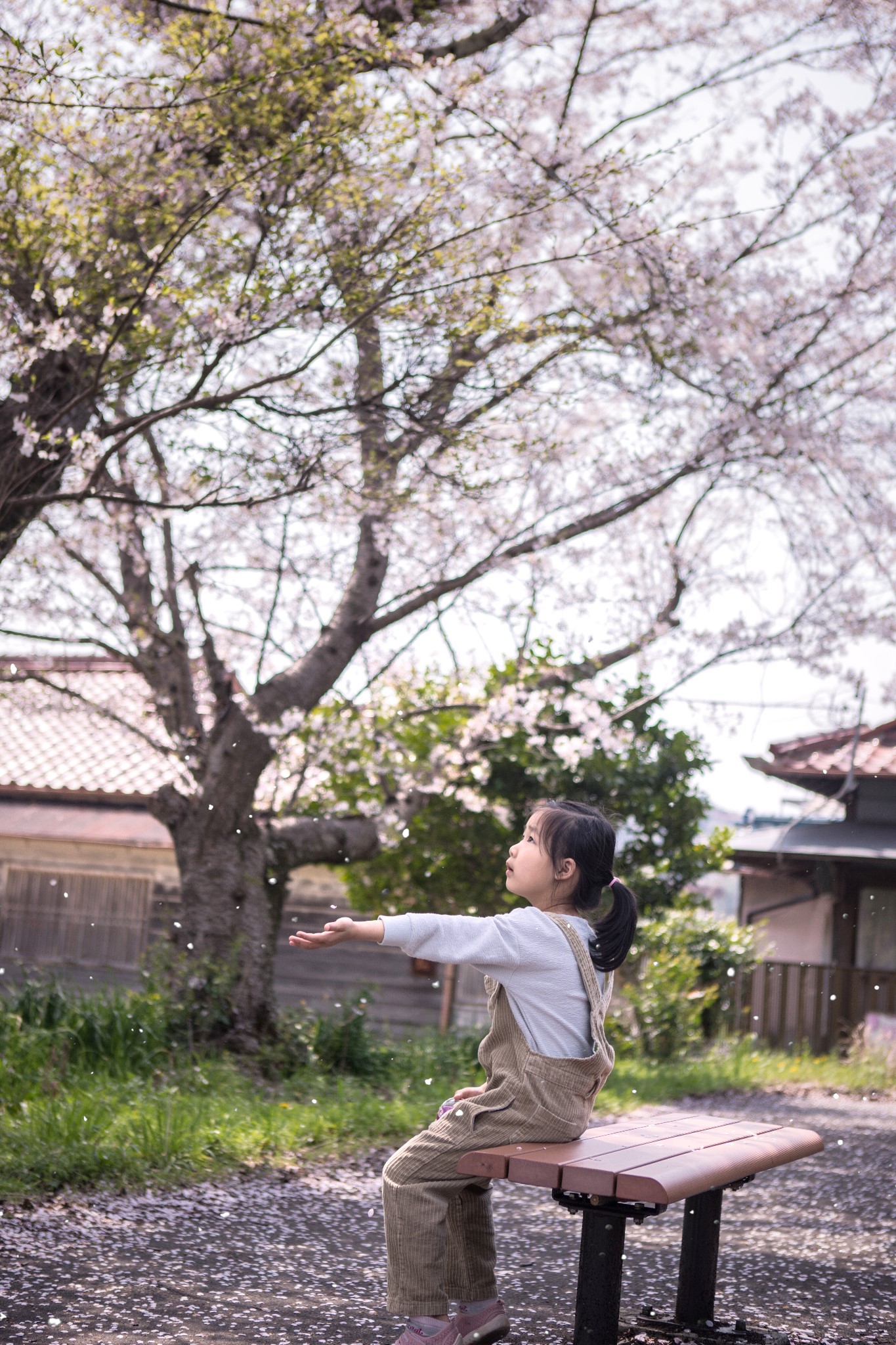 和歌山市自助遊攻略