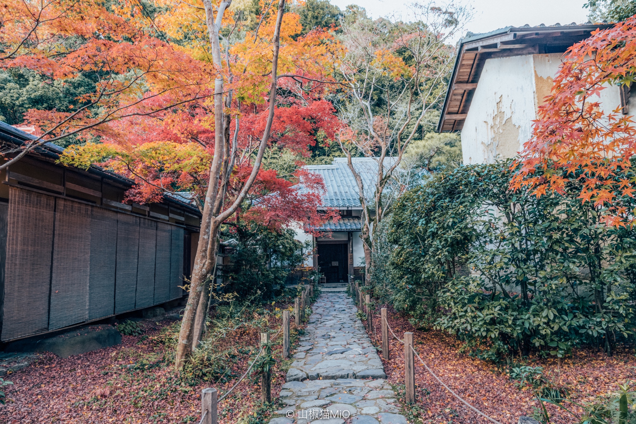 京都自助遊攻略