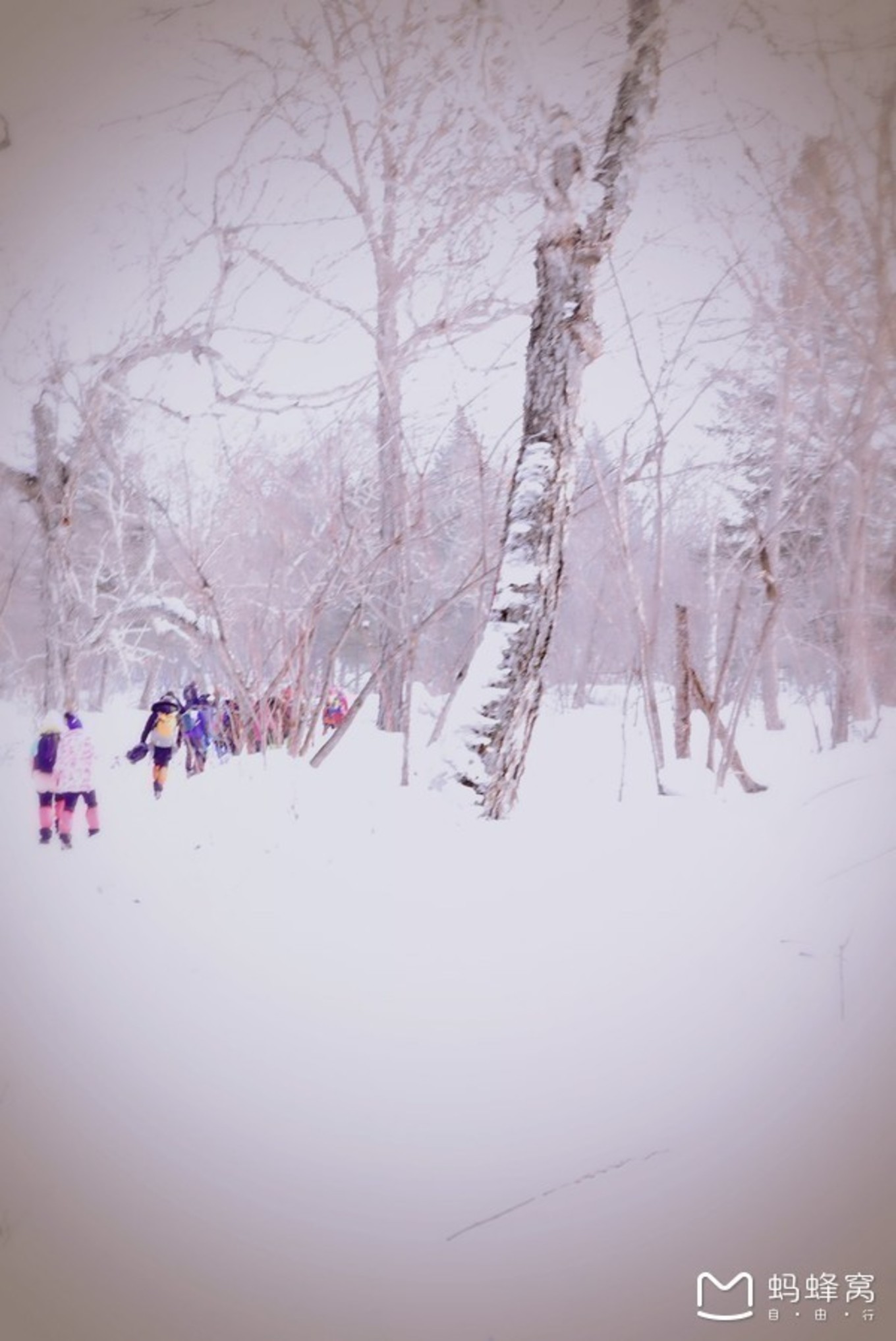 雪鄉自助遊攻略