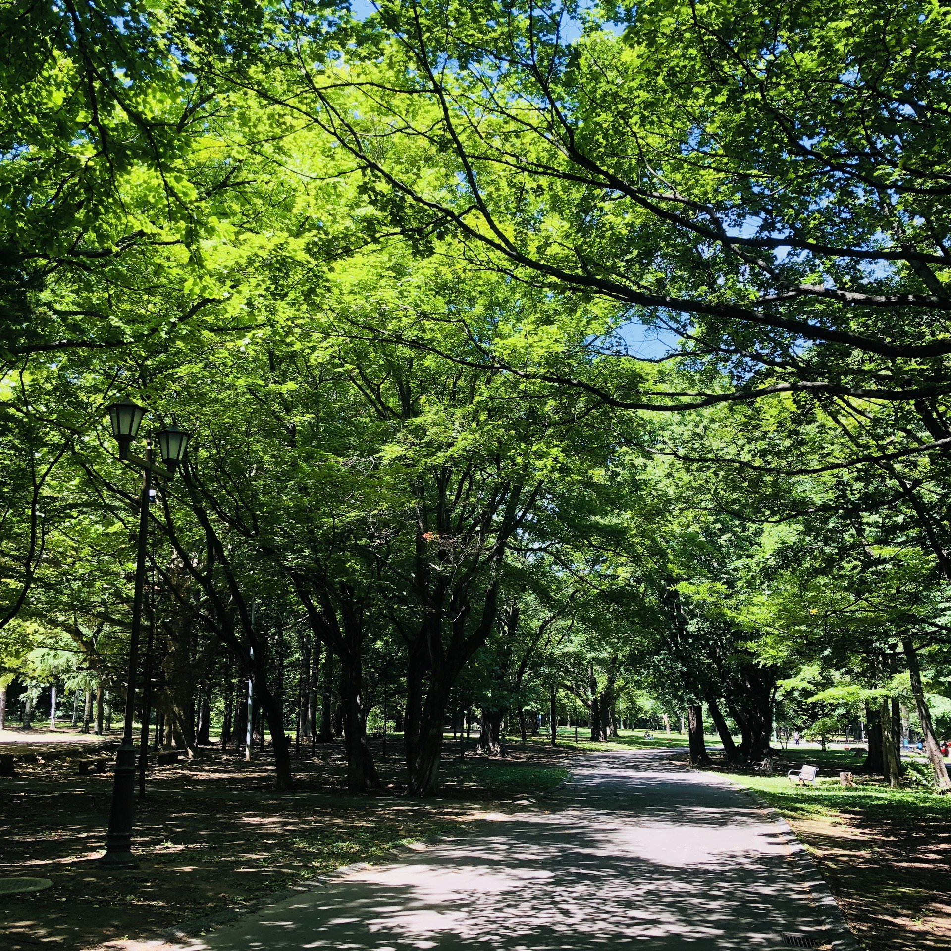 北海道自助遊攻略