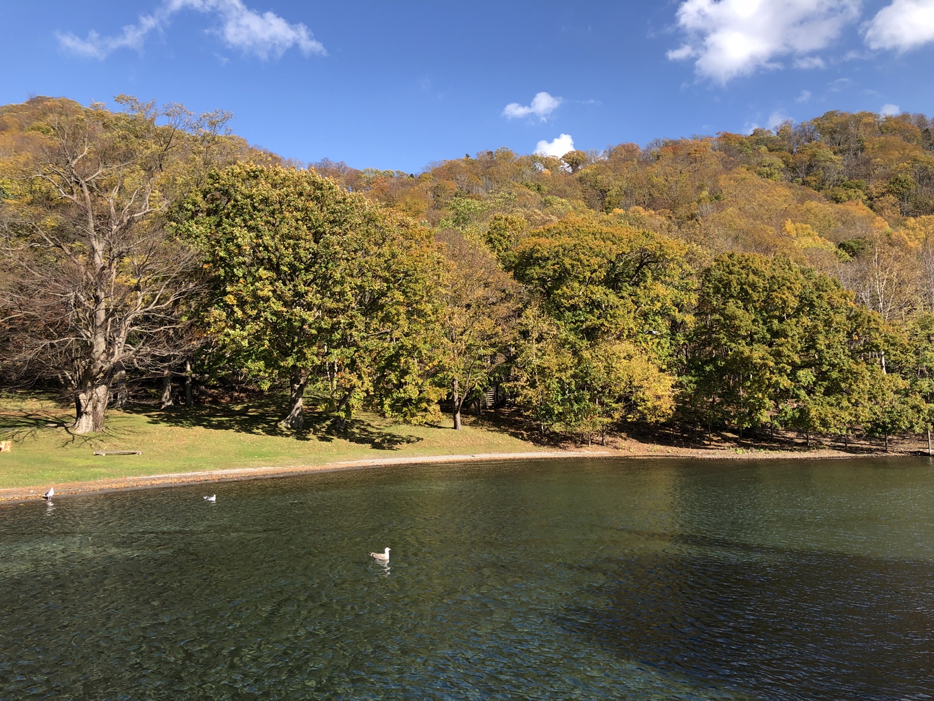 札幌自助遊攻略