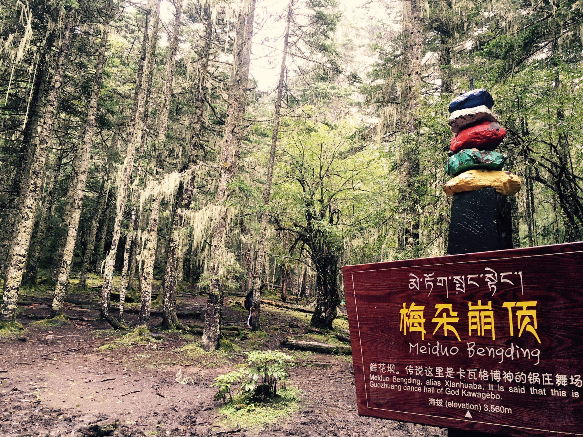 雨崩自助遊攻略