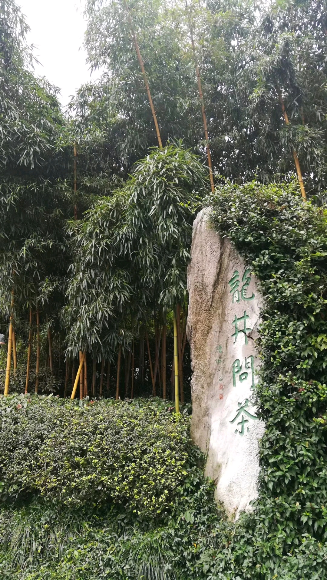 龙井山园·11分钟前