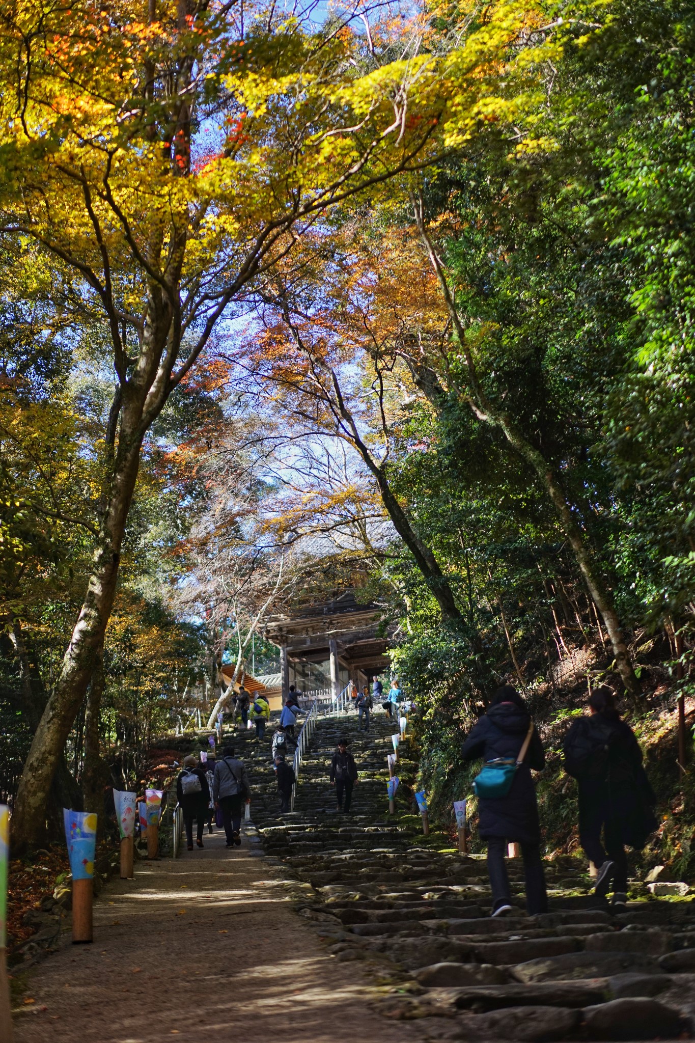 京都自助遊攻略