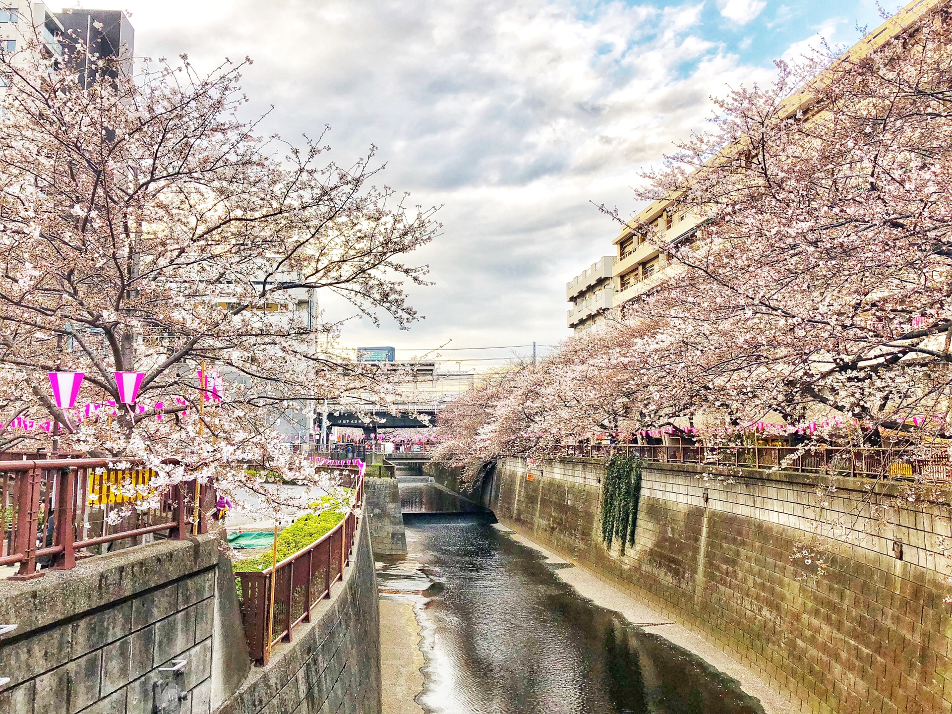 東京自助遊攻略