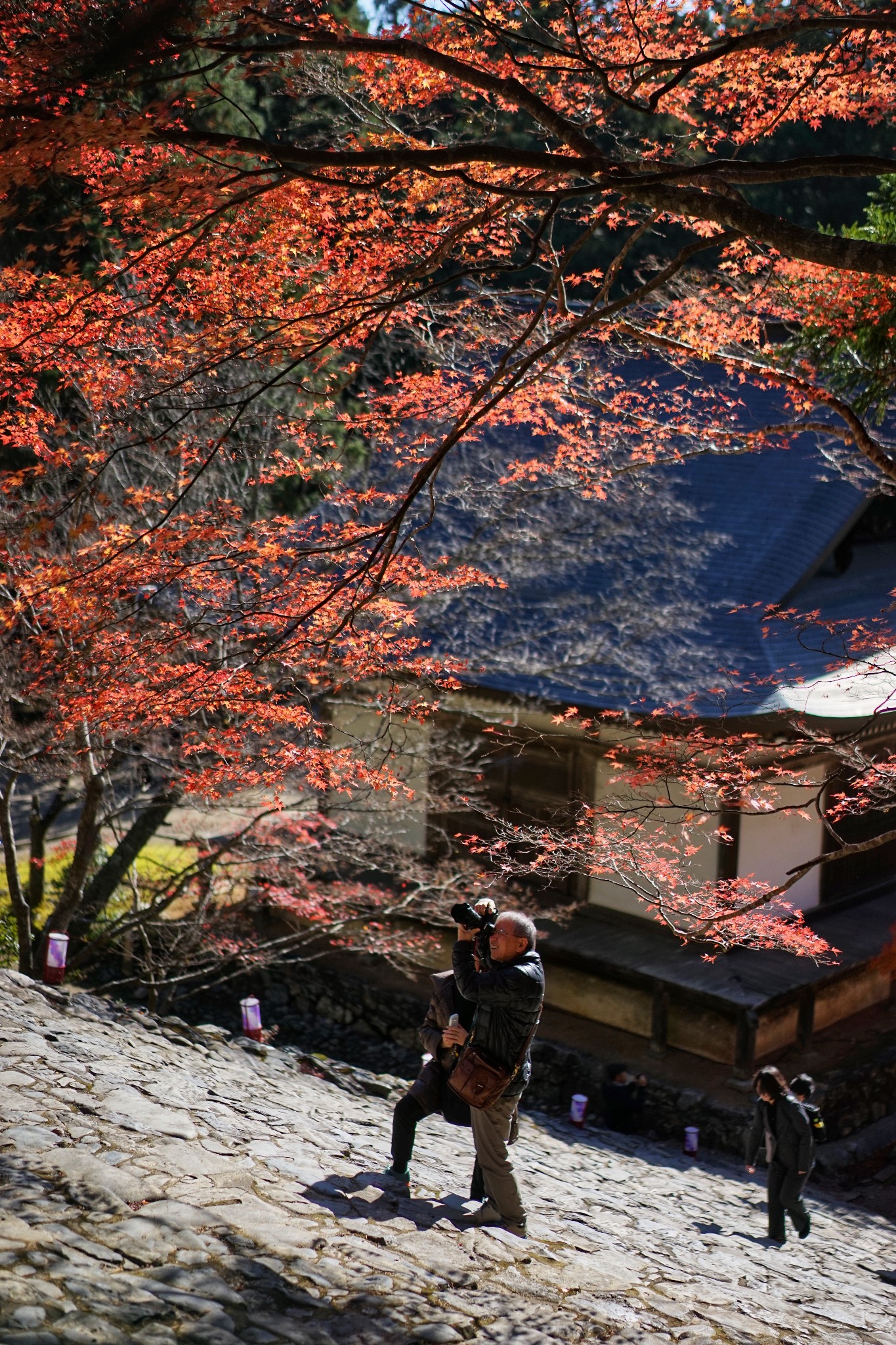 京都自助遊攻略