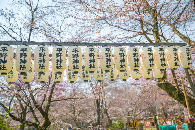 京都自助遊攻略