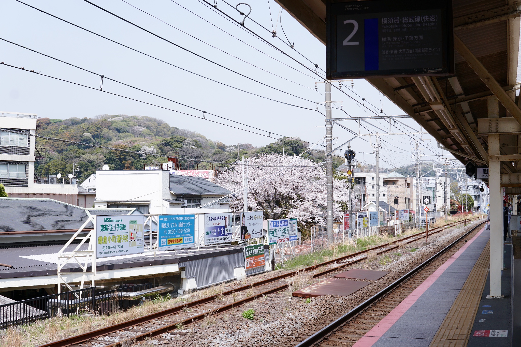 東京自助遊攻略