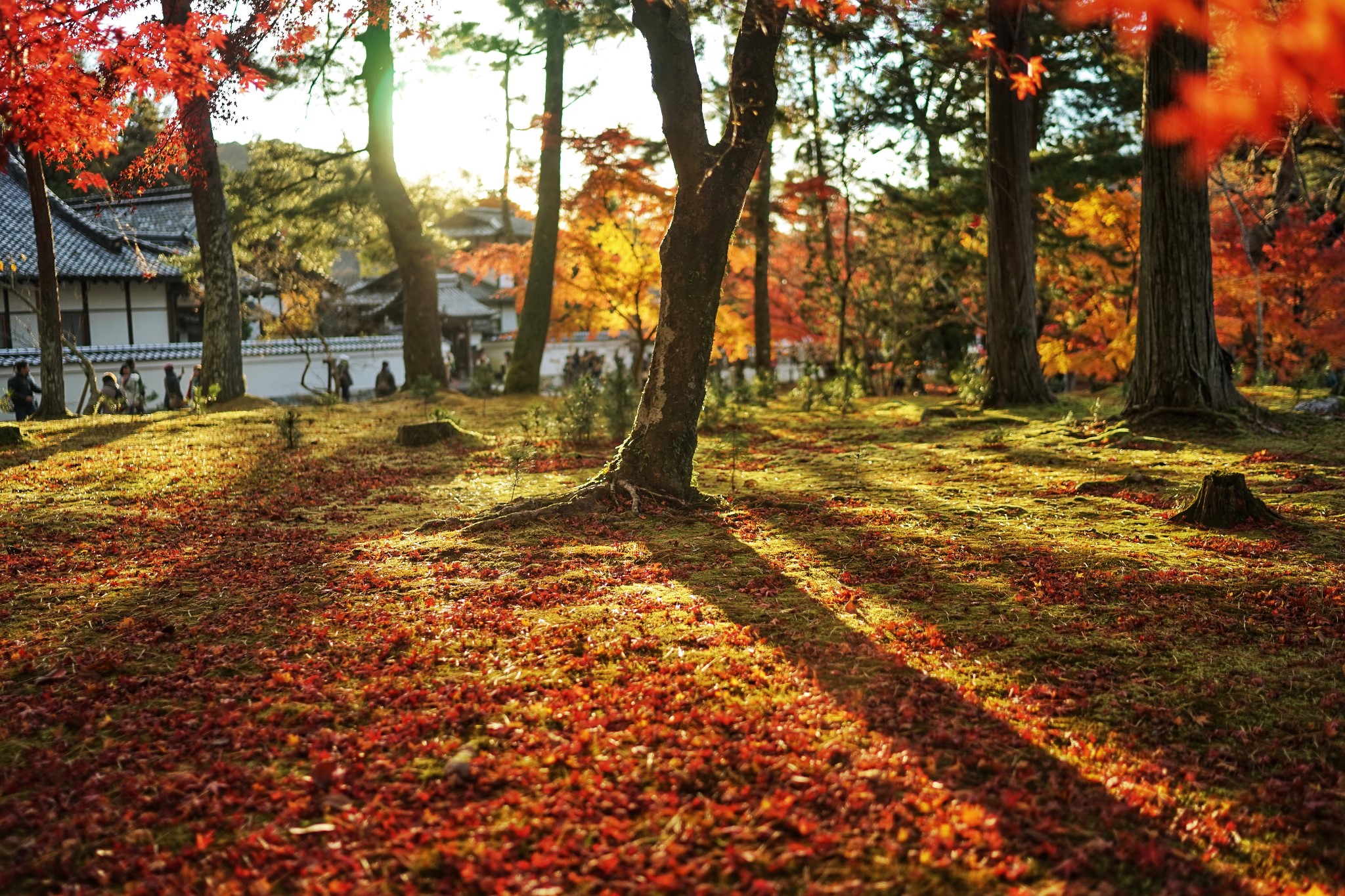 京都自助遊攻略