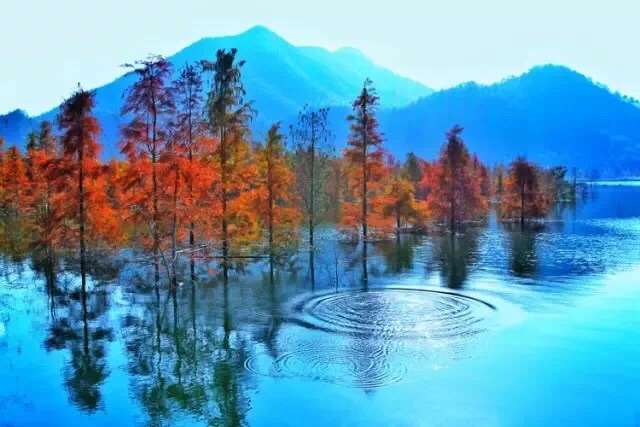 wKgED1uwP4GAKm_CAAFLwrrXlgA81.jpeg?imageView2%2F2%2Fw%2F680%2Fq%2F90%7CimageMogr2%2Fstrip%2Fquality%2F90