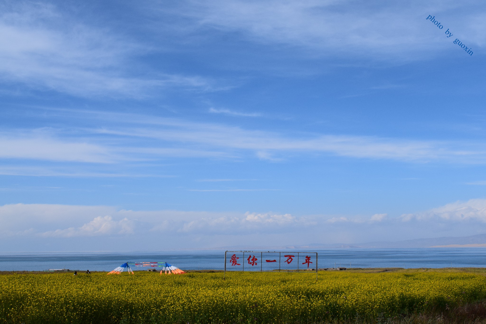 青海湖自助遊攻略