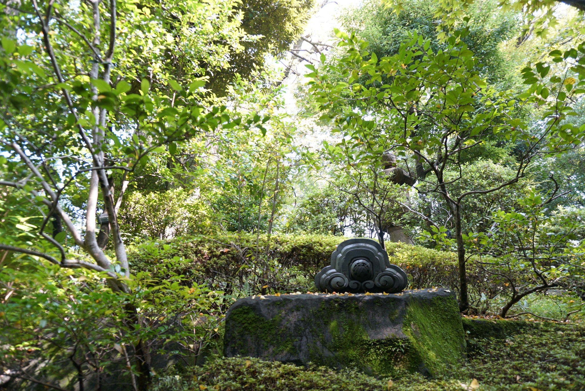 東京自助遊攻略