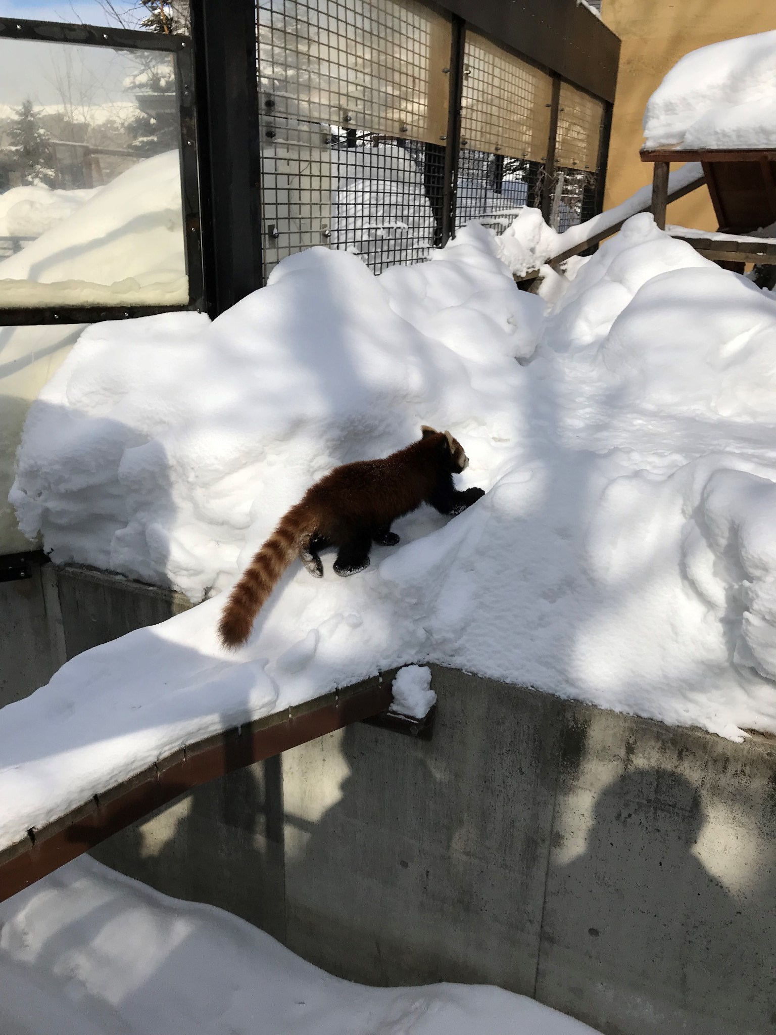 北海道自助遊攻略