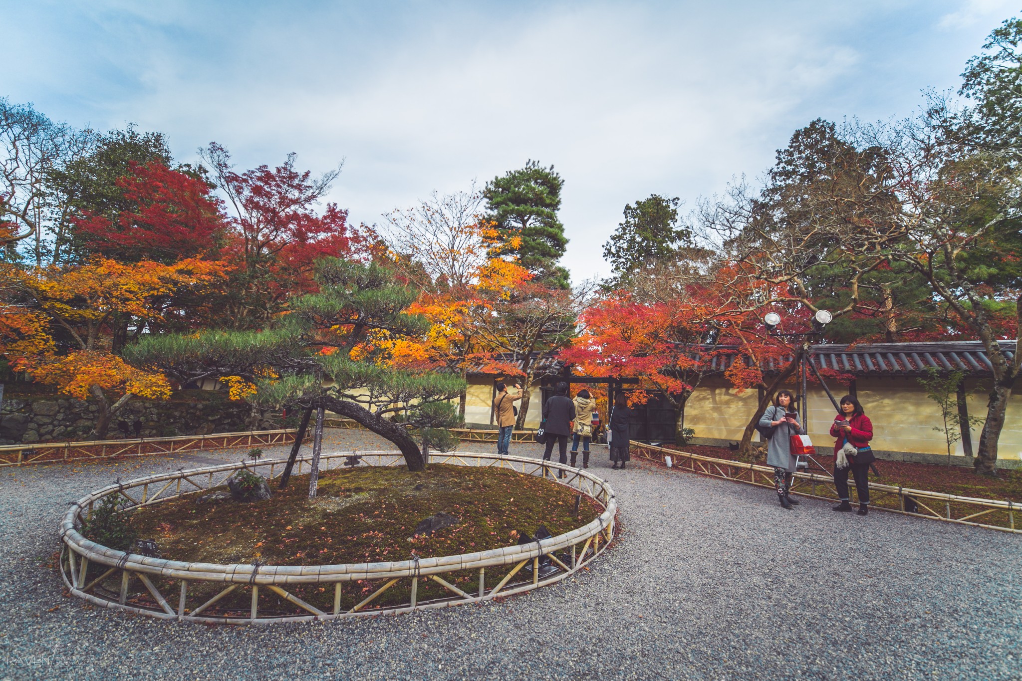 京都自助遊攻略