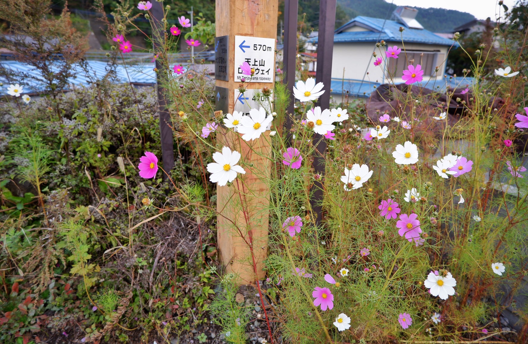 輕井澤自助遊攻略