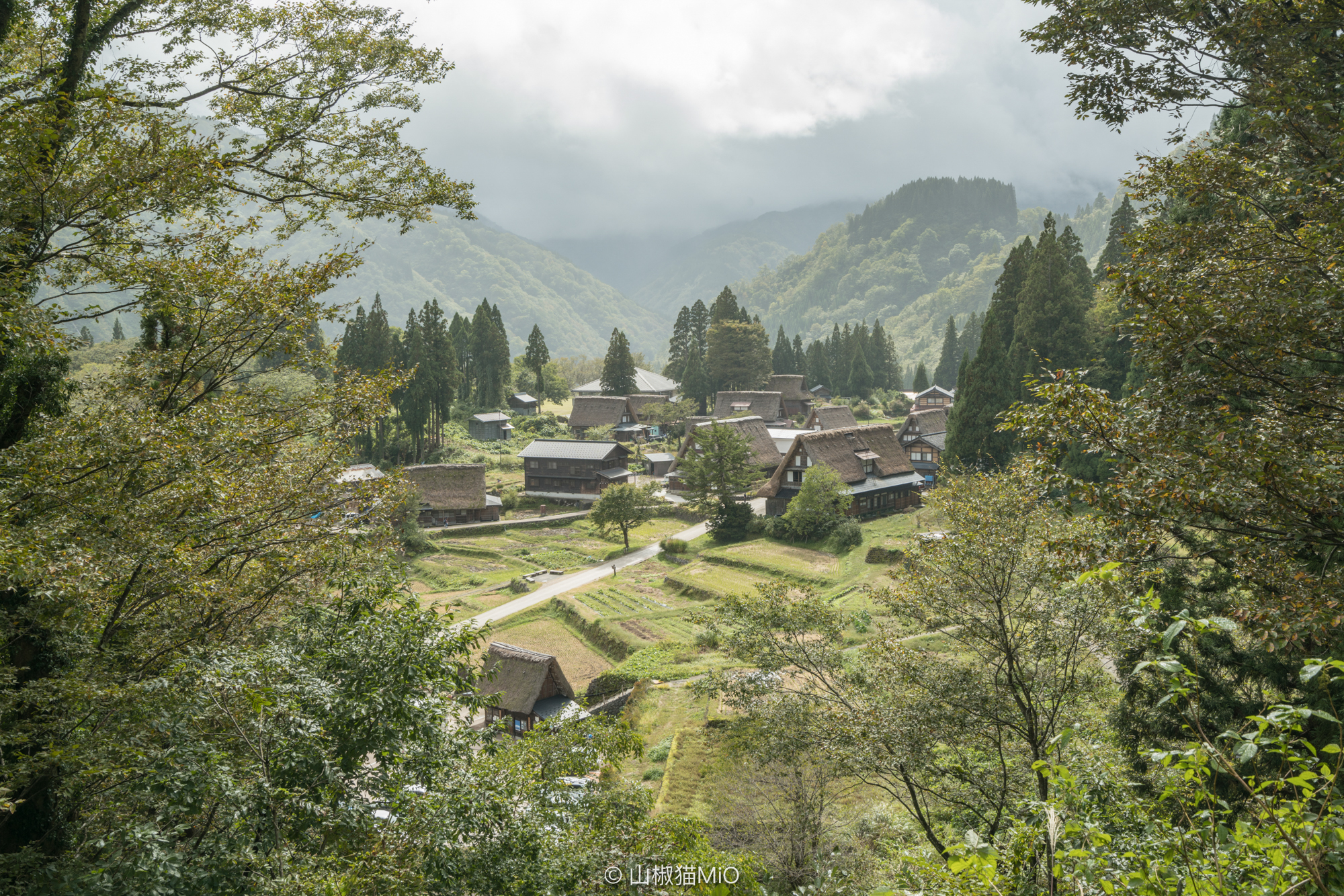 白川鄉自助遊攻略