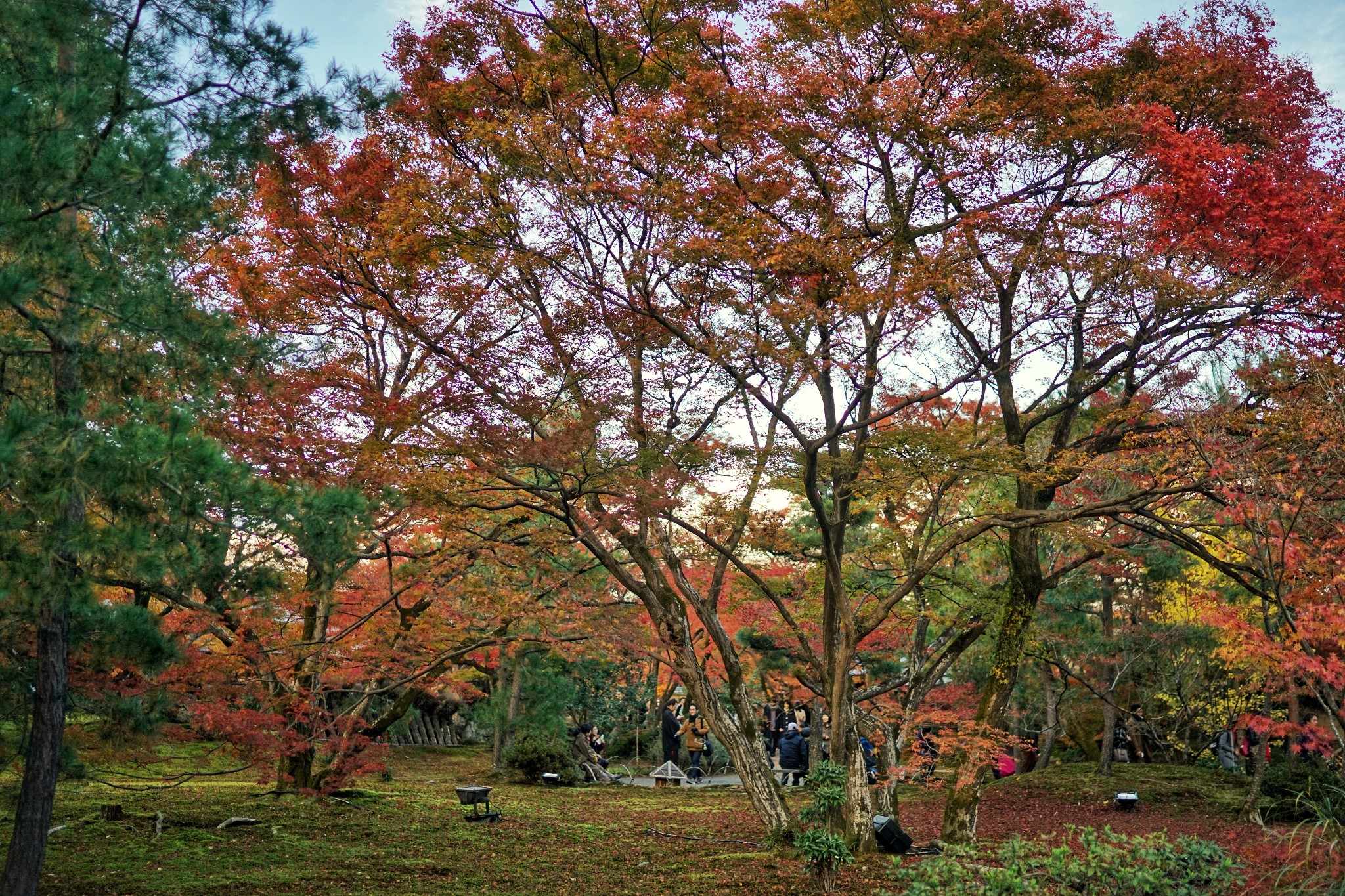 京都自助遊攻略