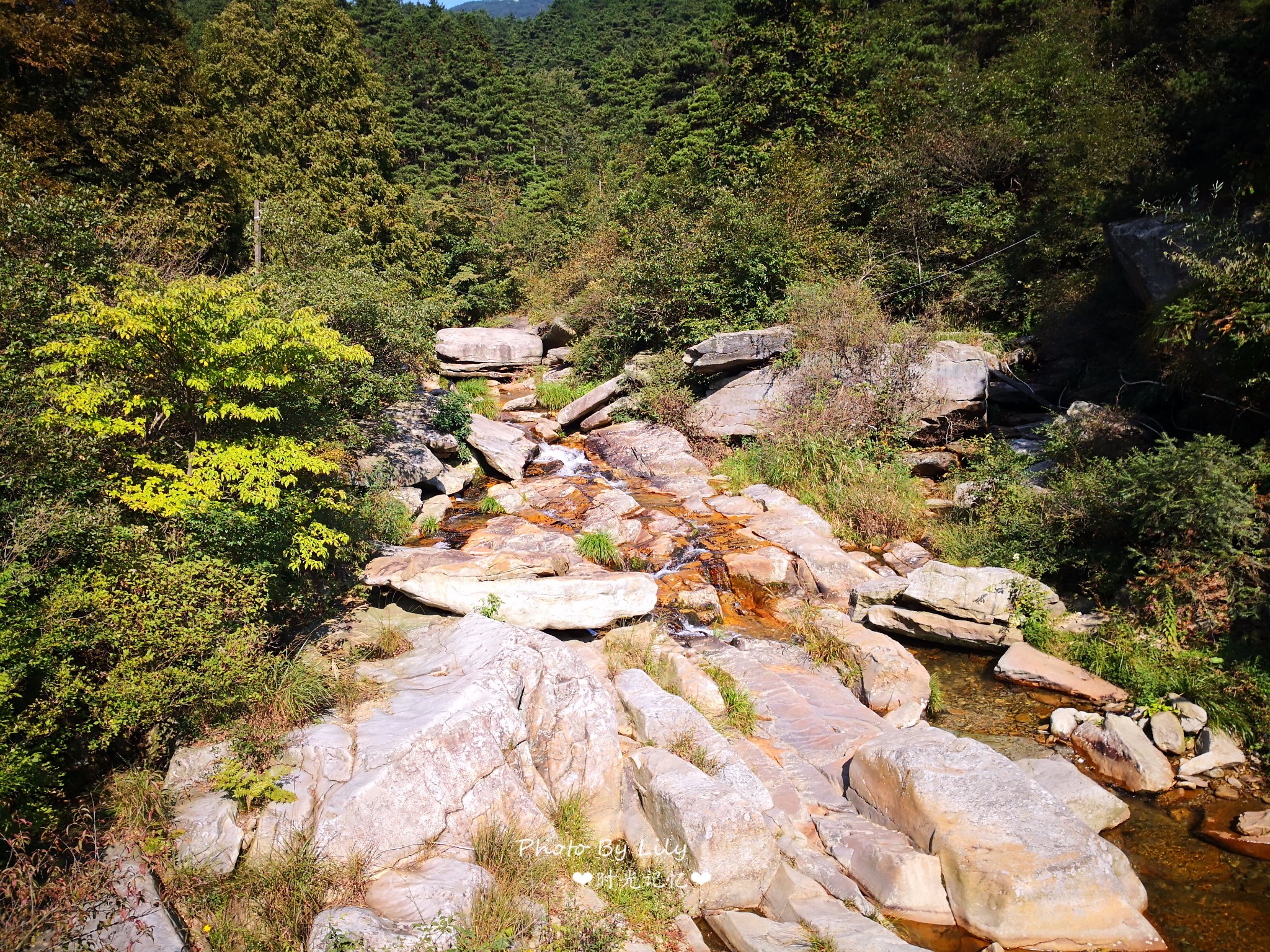 廬山自助遊攻略