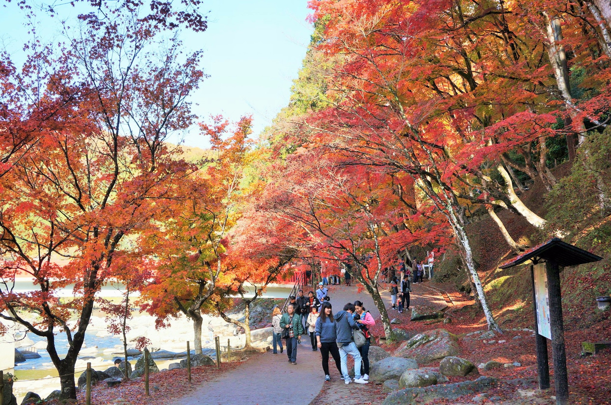 名古屋自助遊攻略