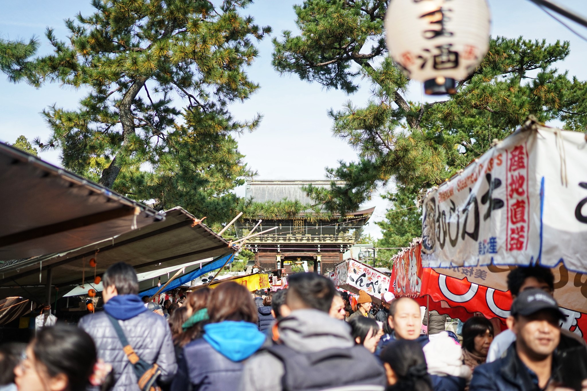 京都自助遊攻略