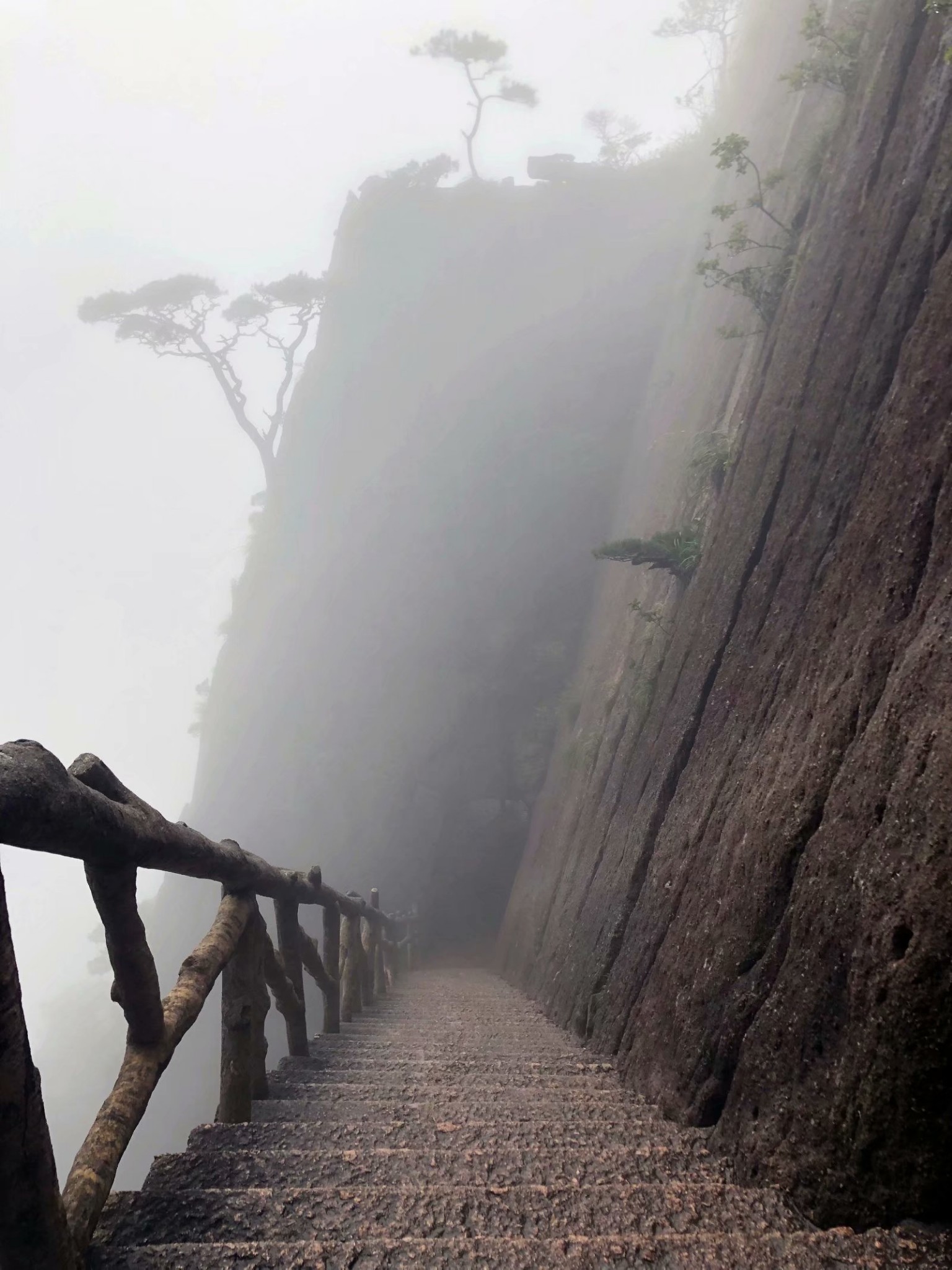 黃山自助遊攻略