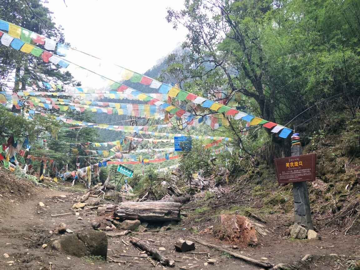 雨崩自助遊攻略