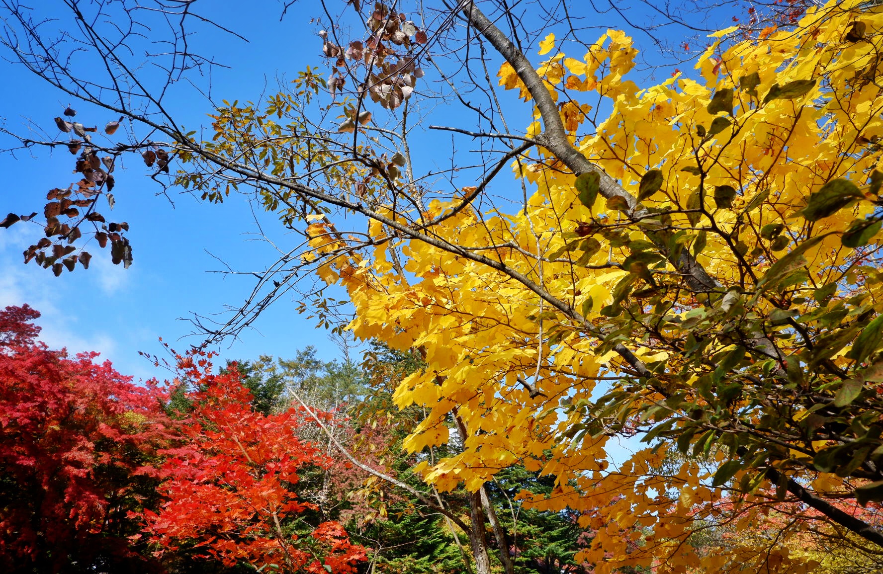 輕井澤自助遊攻略