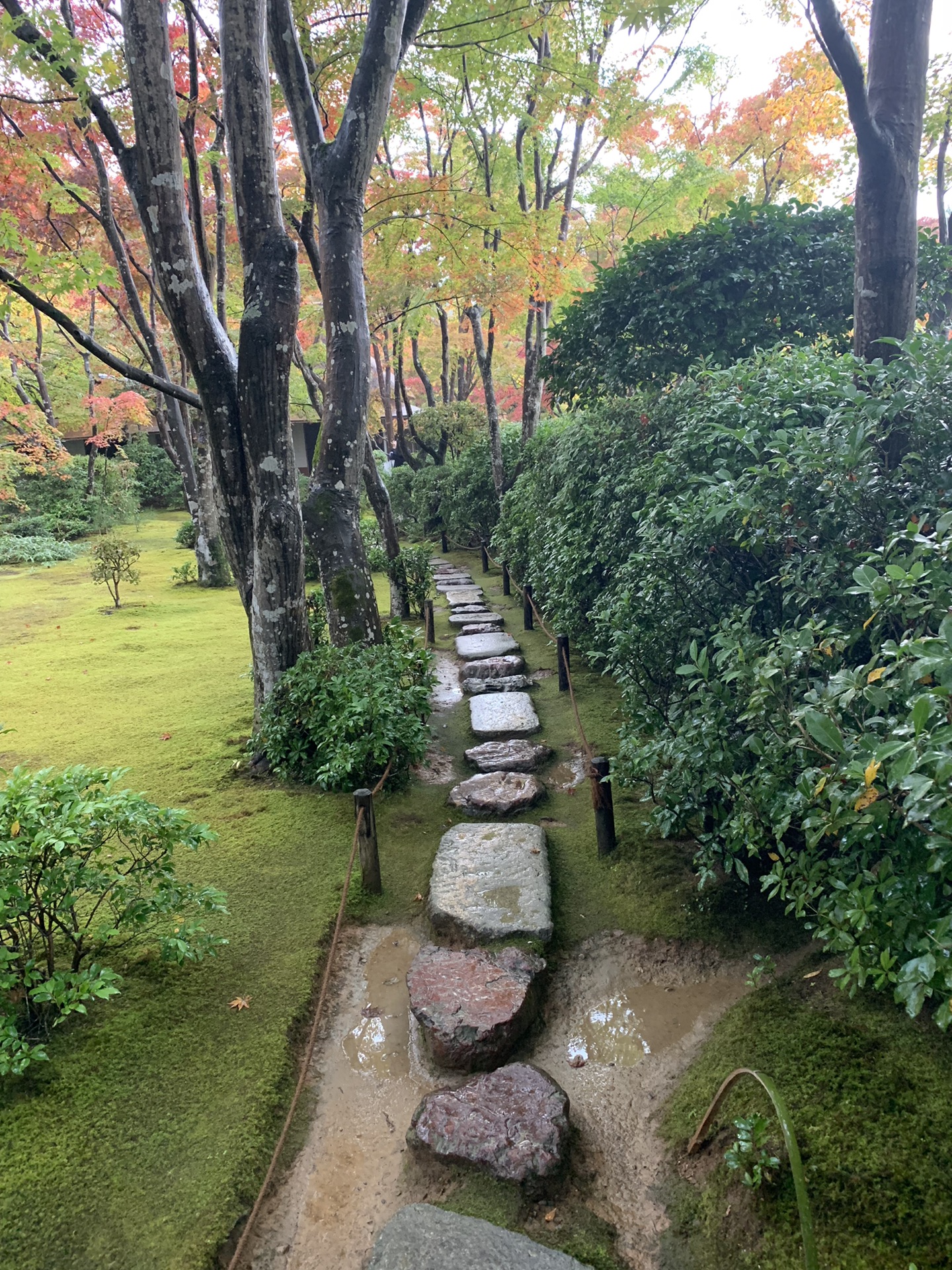 京都自助遊攻略