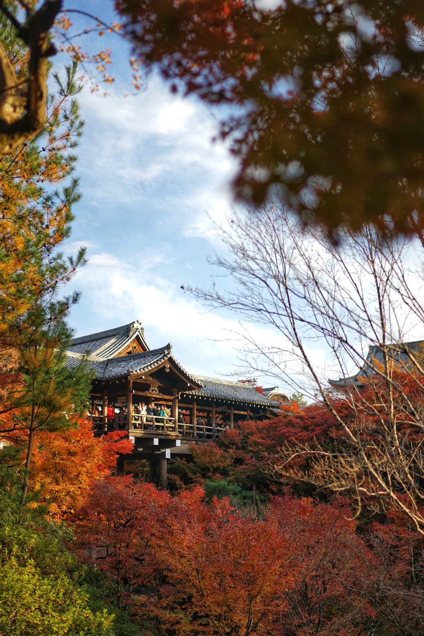 京都自助遊攻略