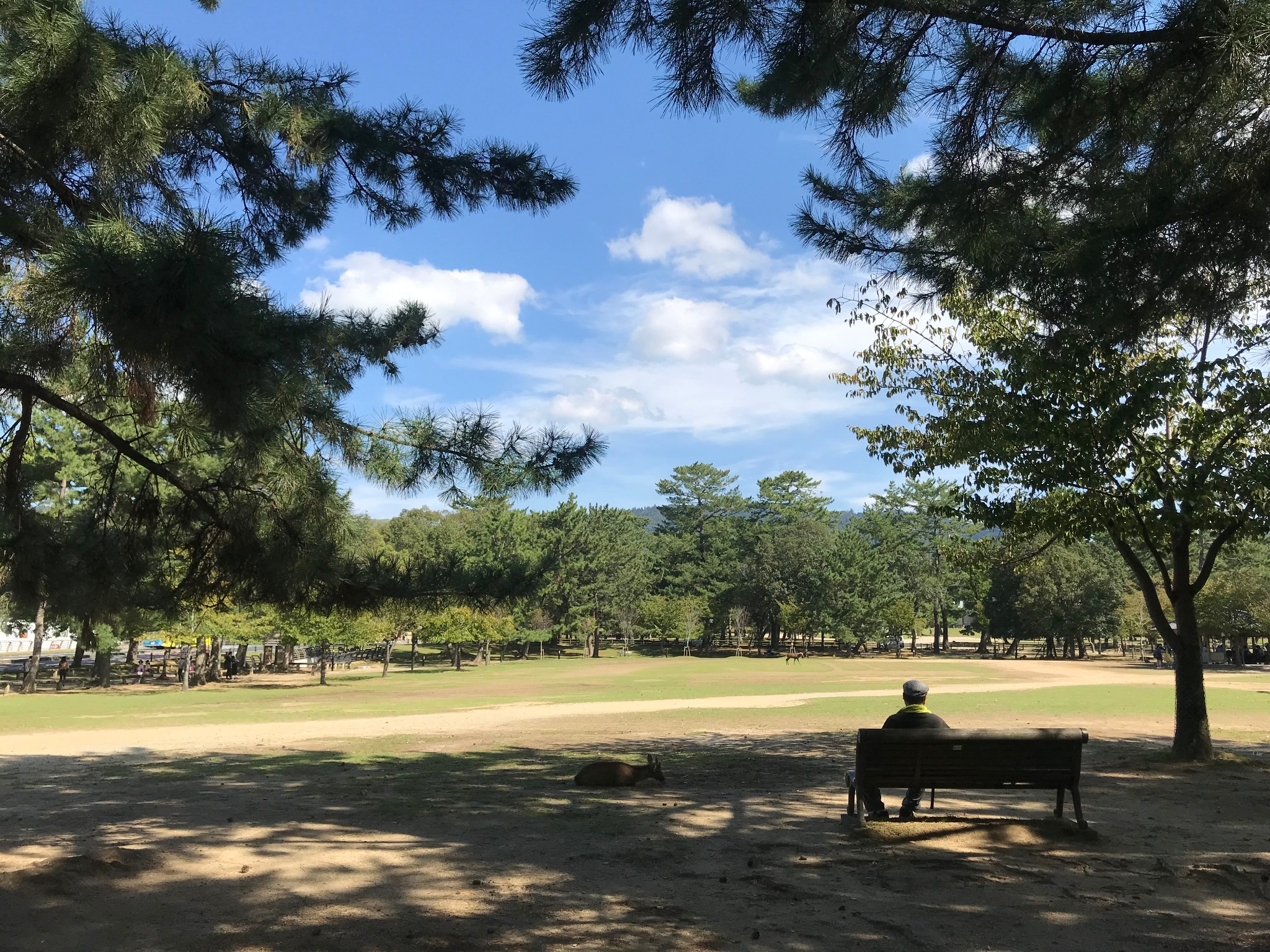 名古屋自助遊攻略