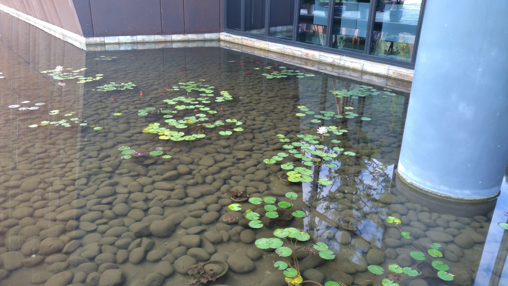 四川自助遊攻略