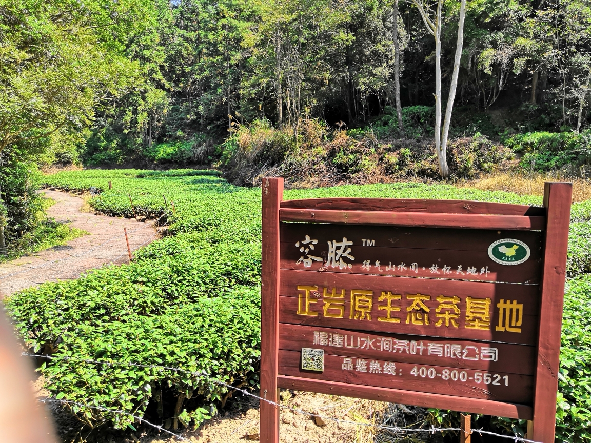 武夷山自助遊攻略