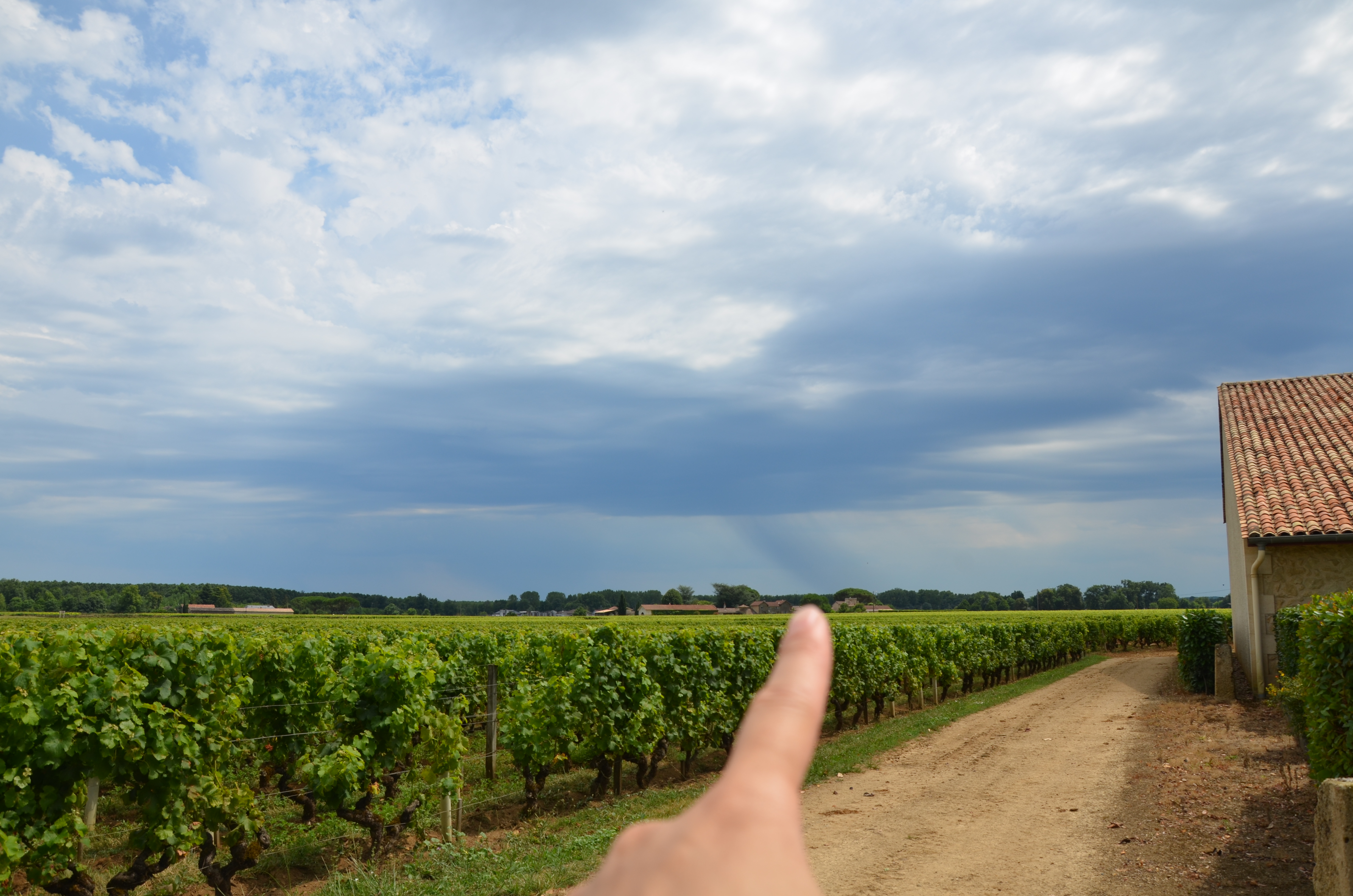 【指路人全球招募第2季】兴趣专场大赛(入选名单公布)