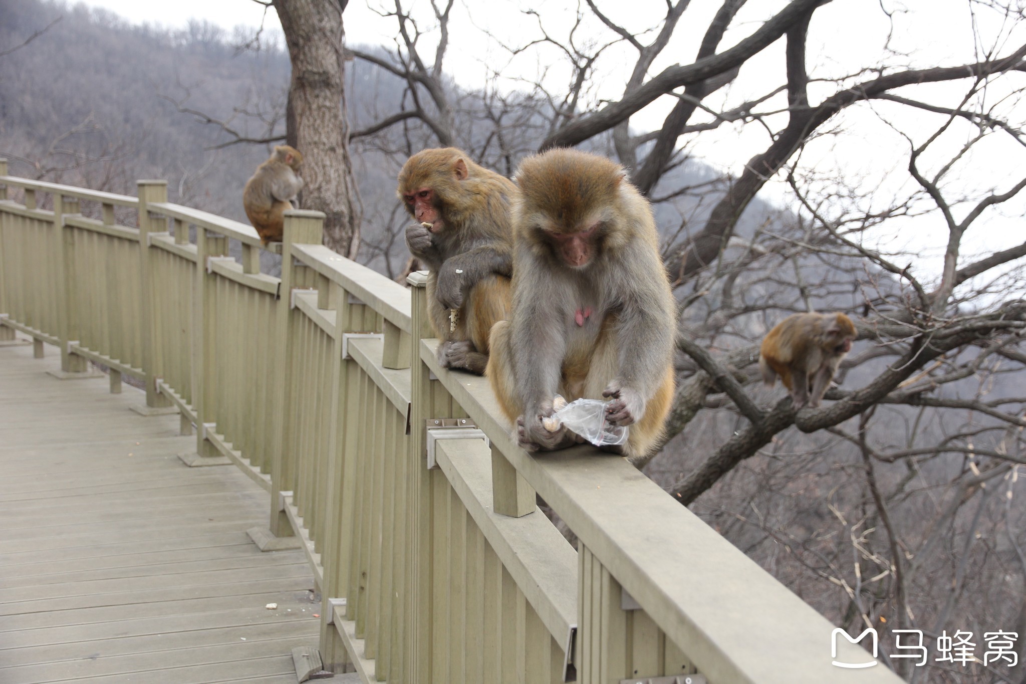 连云港游记图片