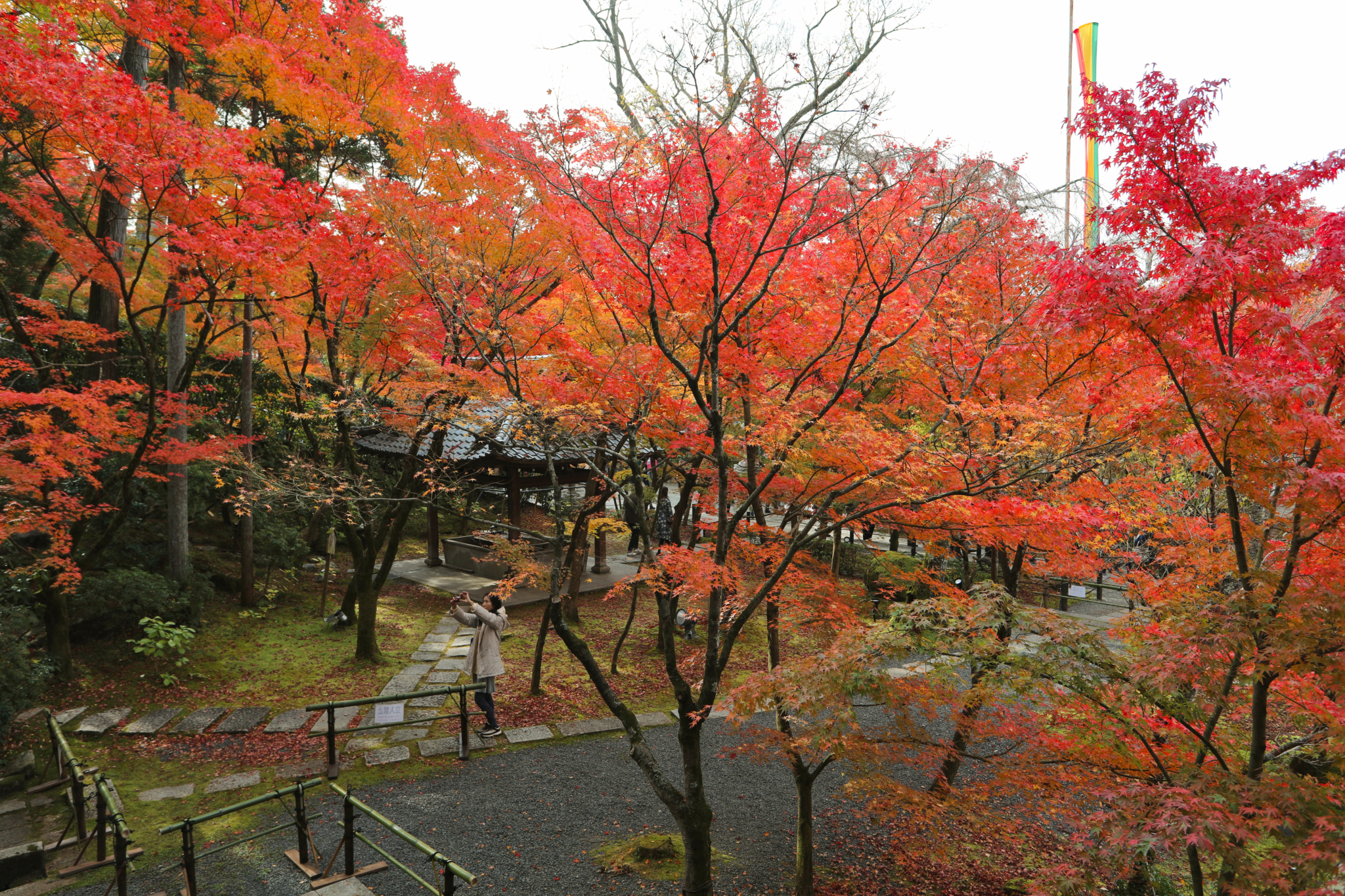 京都自助遊攻略