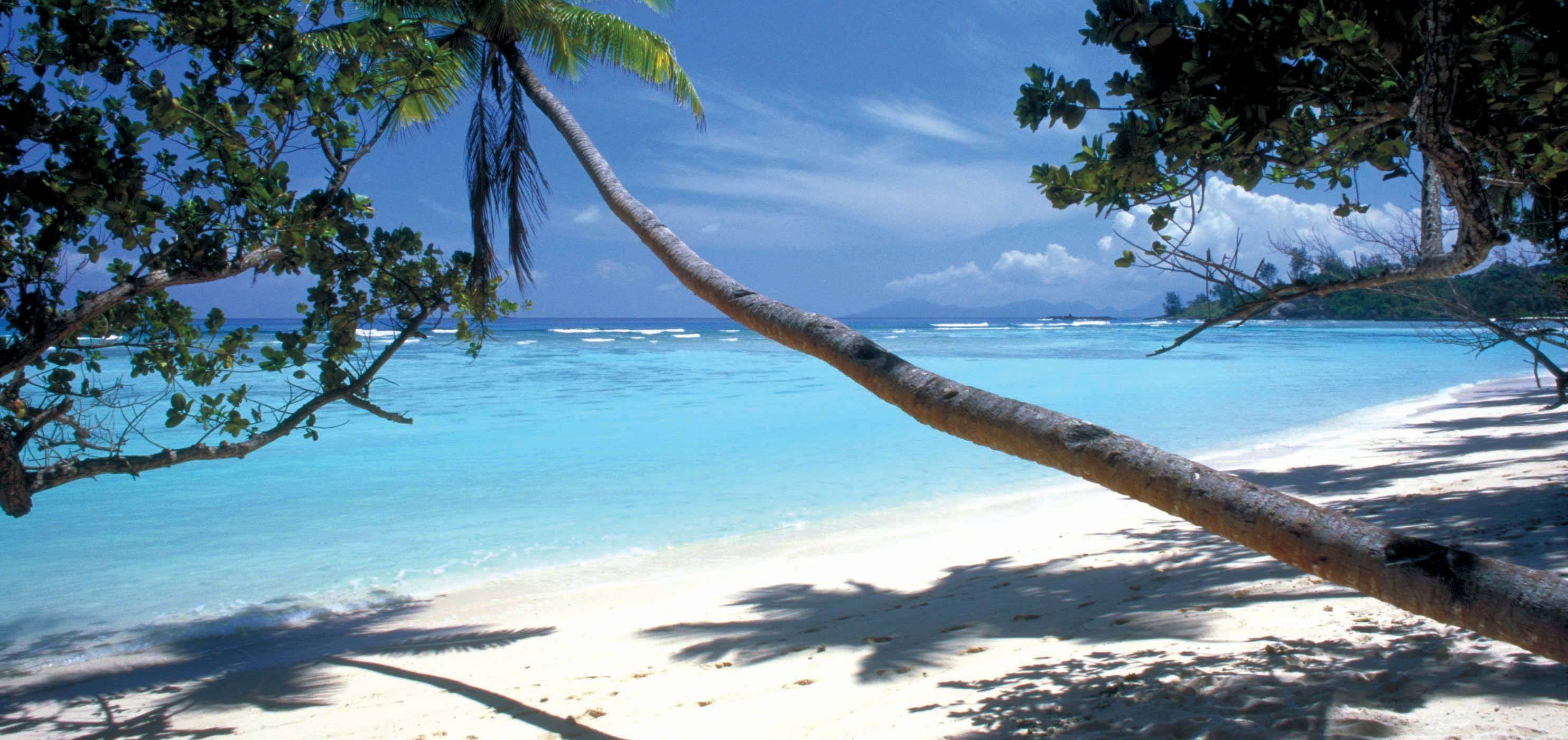 分享塞舌尔-游记推荐